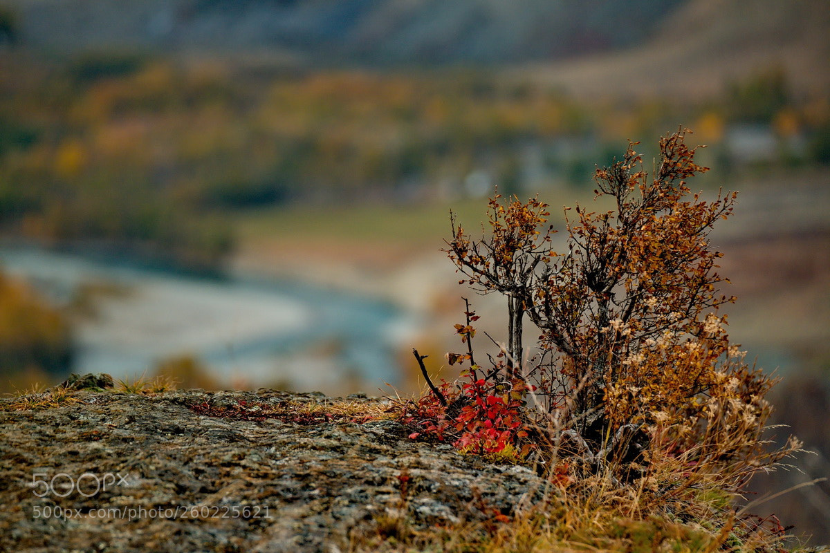 Fujifilm X-T1 sample photo. Russia. the south of photography