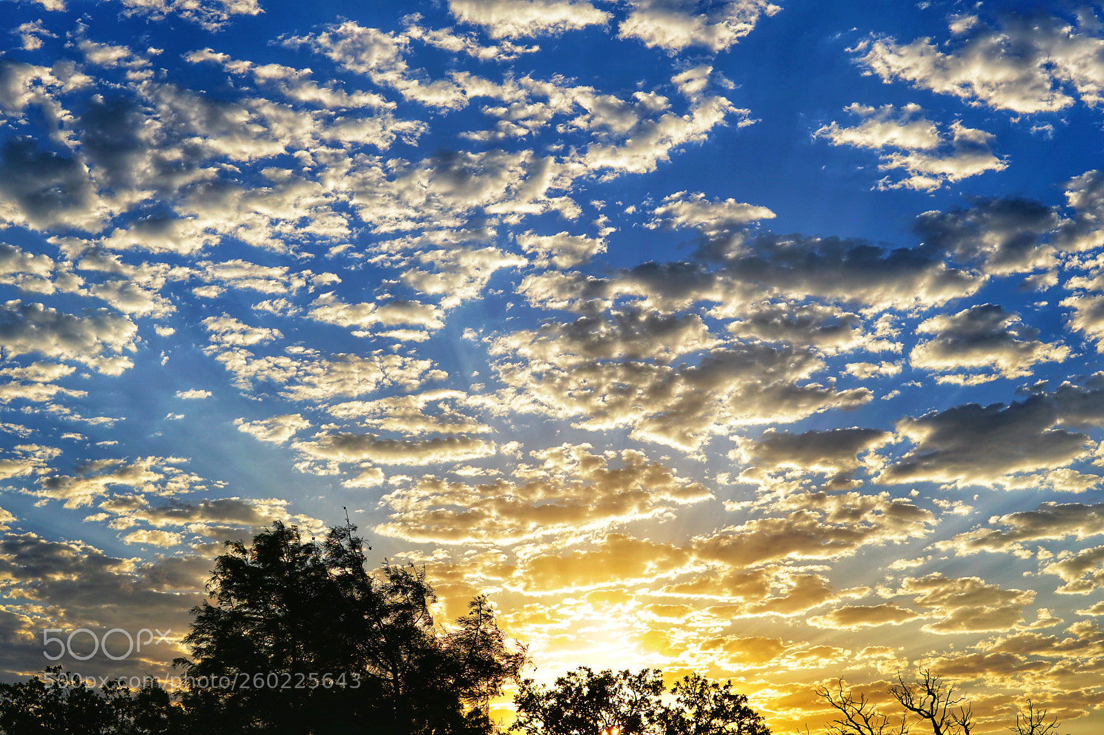 Sony a6500 sample photo. Sunrise in texas photography