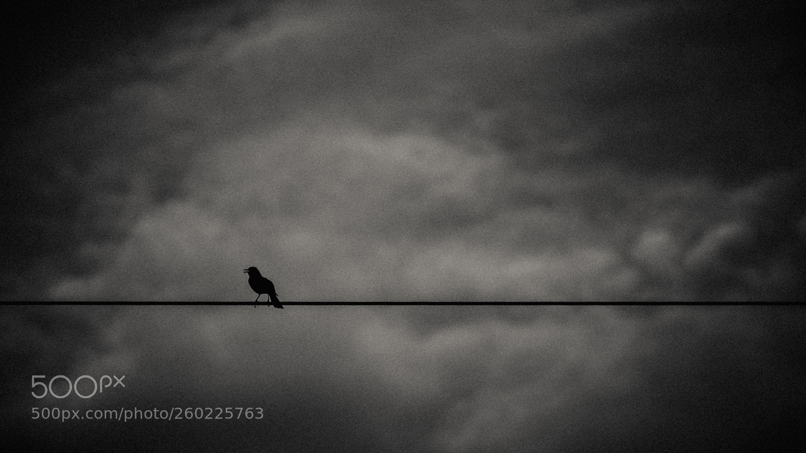 Fujifilm X-H1 sample photo. Night bird photography