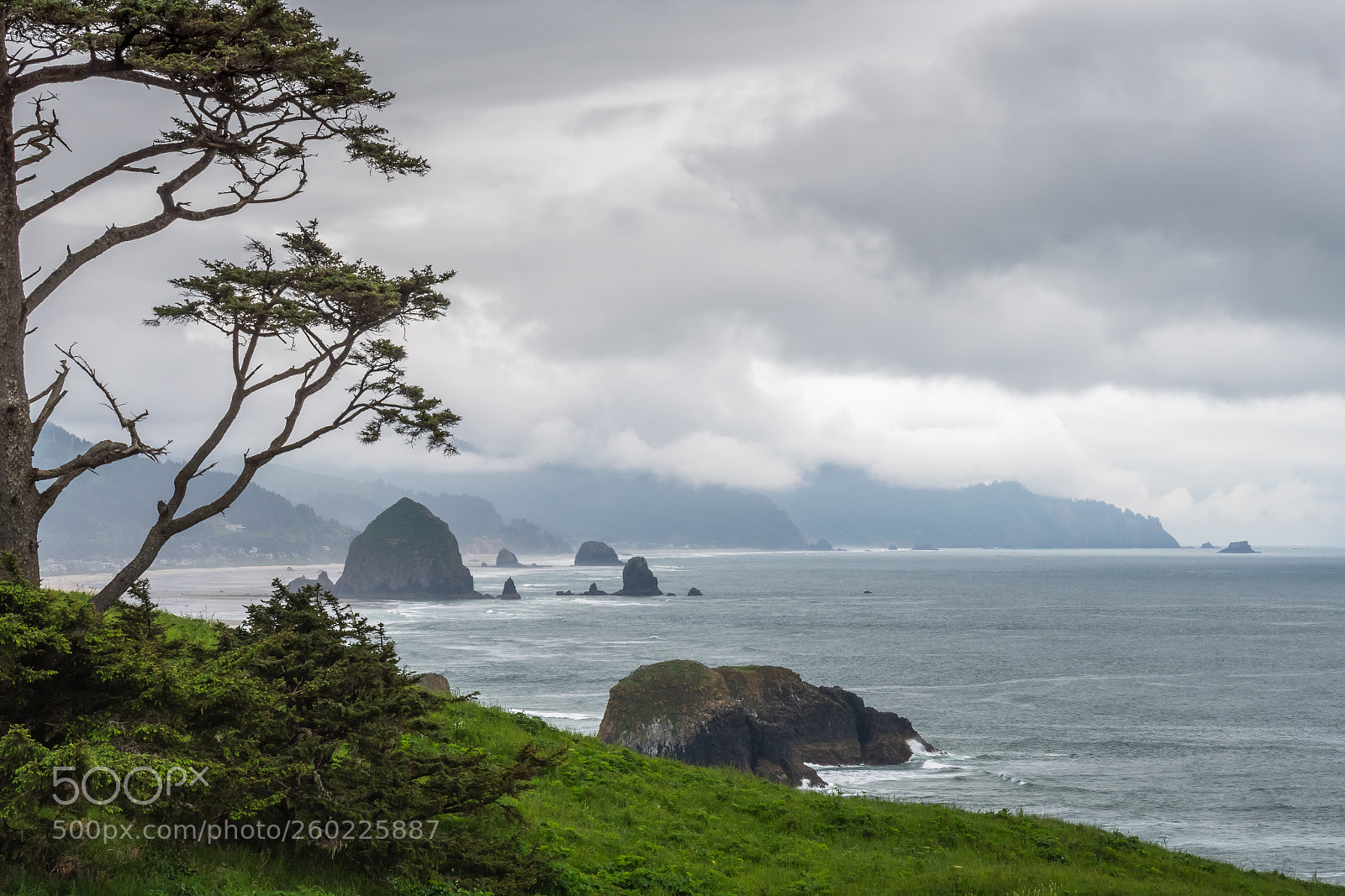 Nikon D500 sample photo. Oregon coast photography