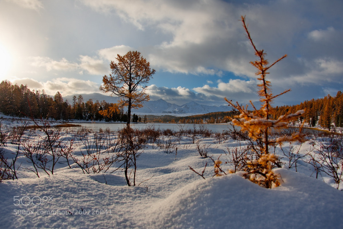Nikon D750 sample photo. Russia. mountain altai. late photography