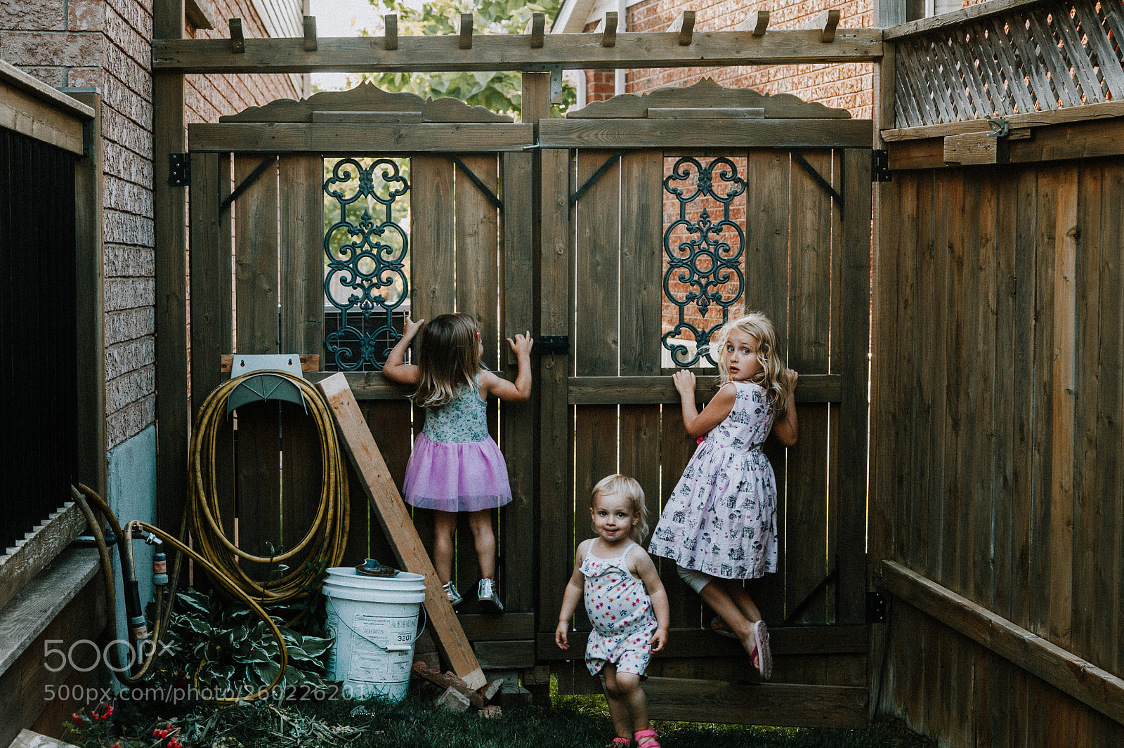 Nikon D700 sample photo. Kids play photography