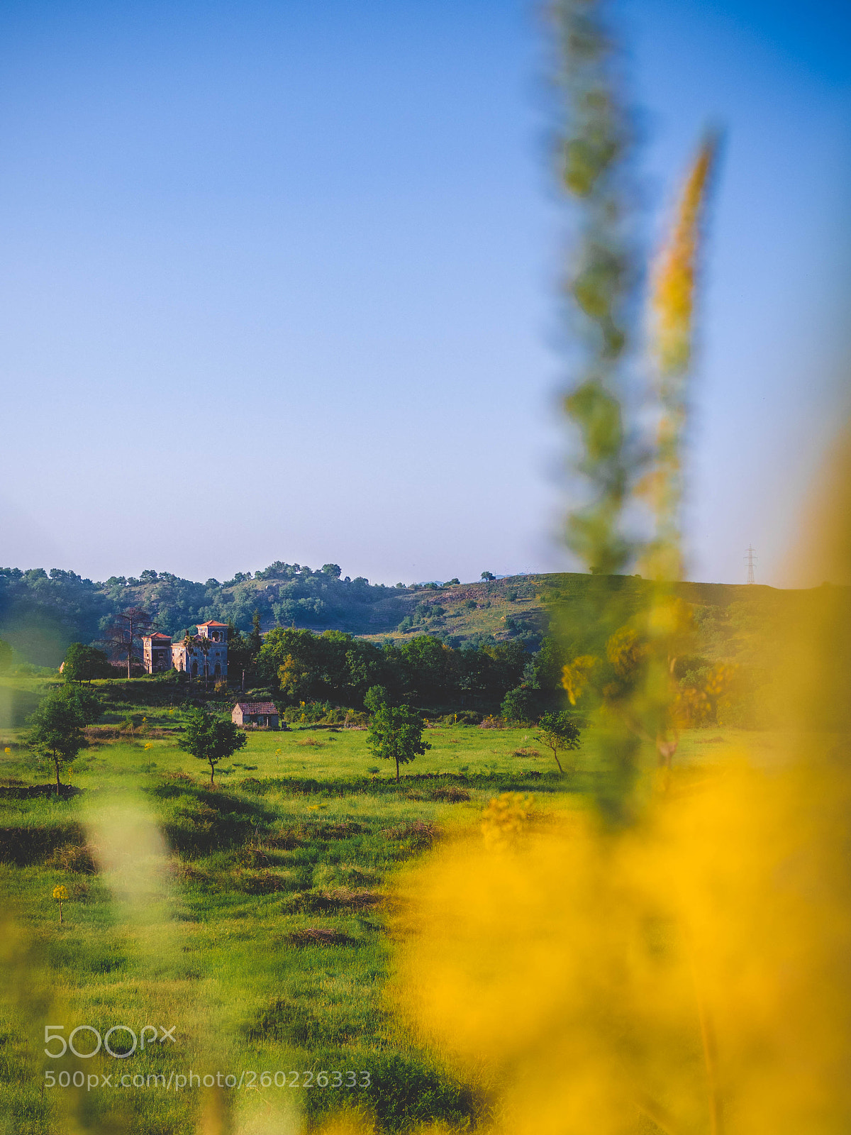 Olympus OM-D E-M5 II sample photo. Spring in sicily photography
