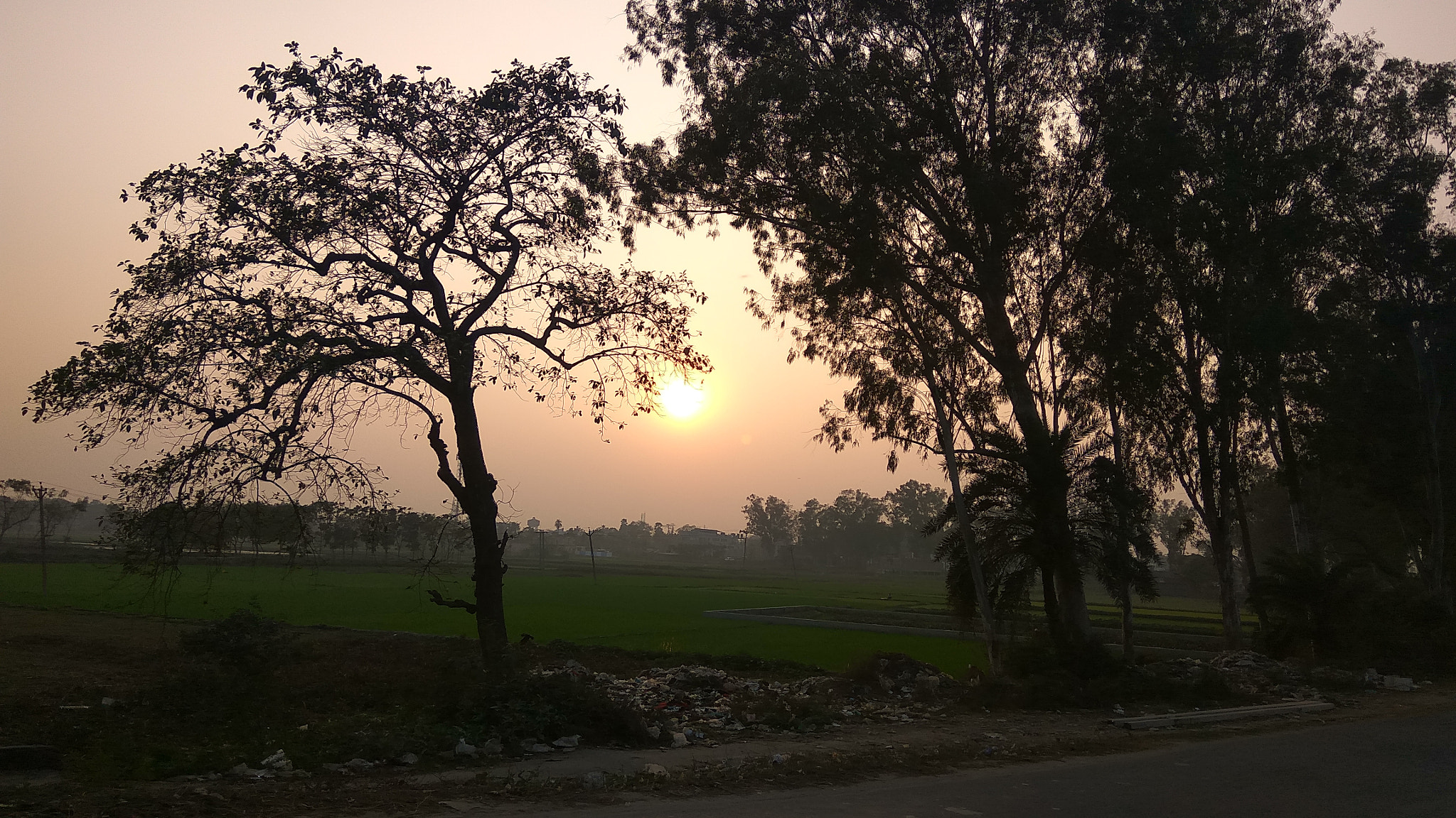 Xiaomi Redmi Note3 sample photo