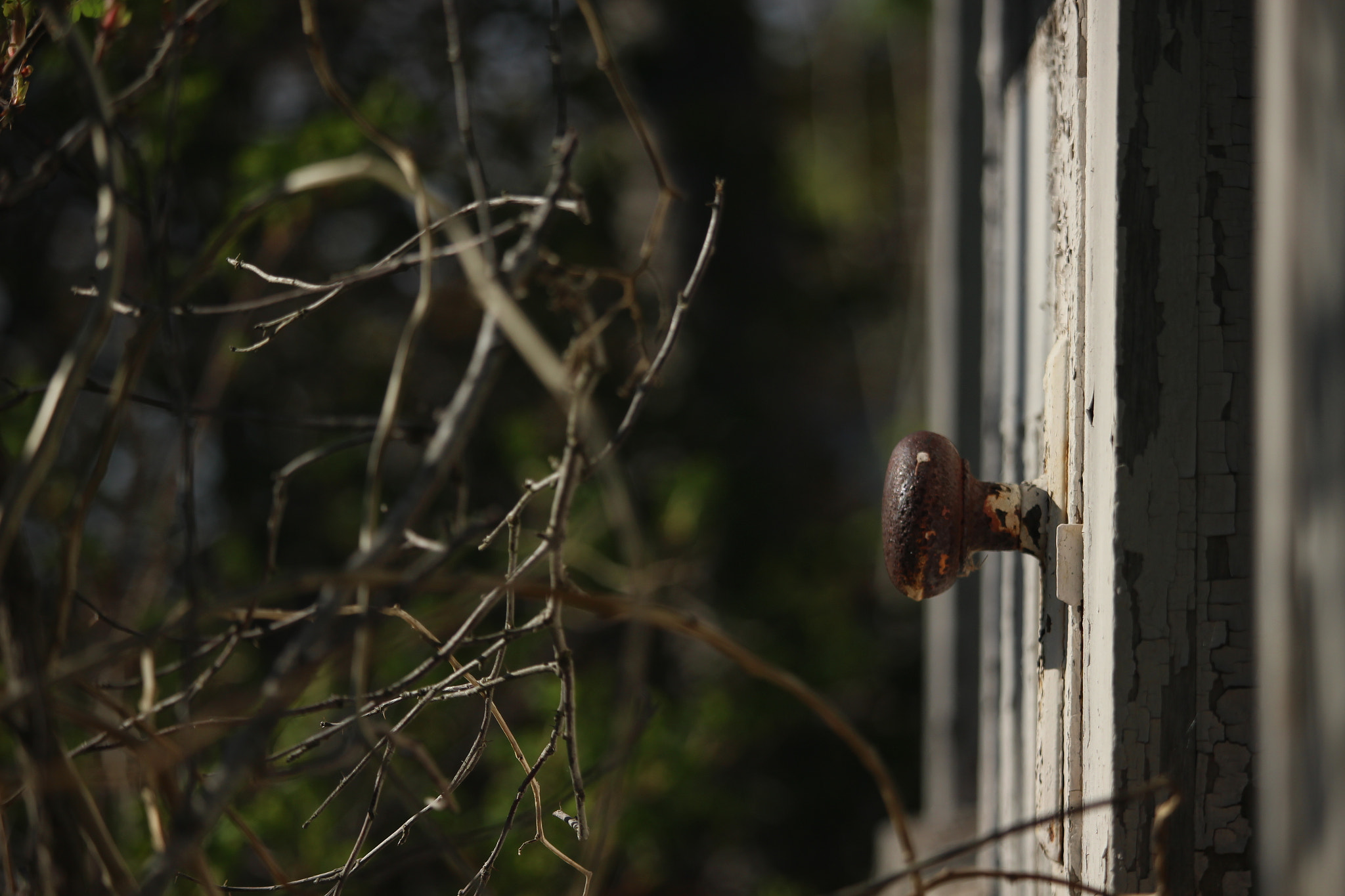 Canon EF-S 55-250mm F4-5.6 IS STM sample photo. Embark photography