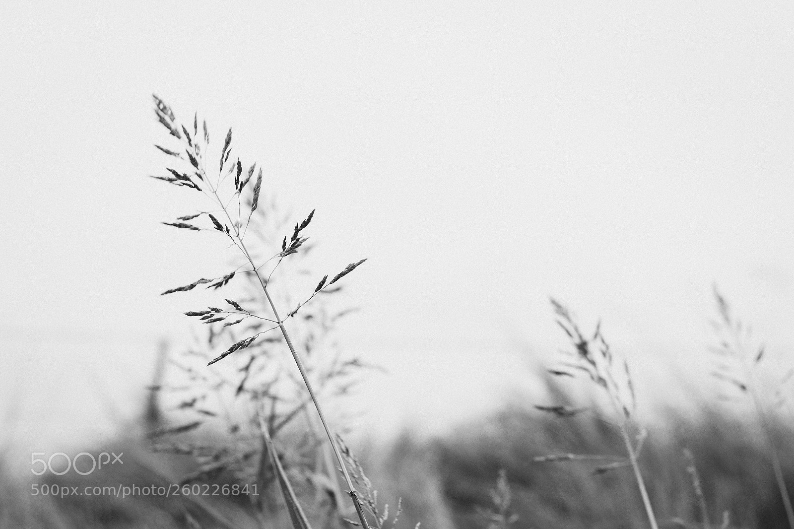 Canon EOS 700D (EOS Rebel T5i / EOS Kiss X7i) sample photo. Untitled photography
