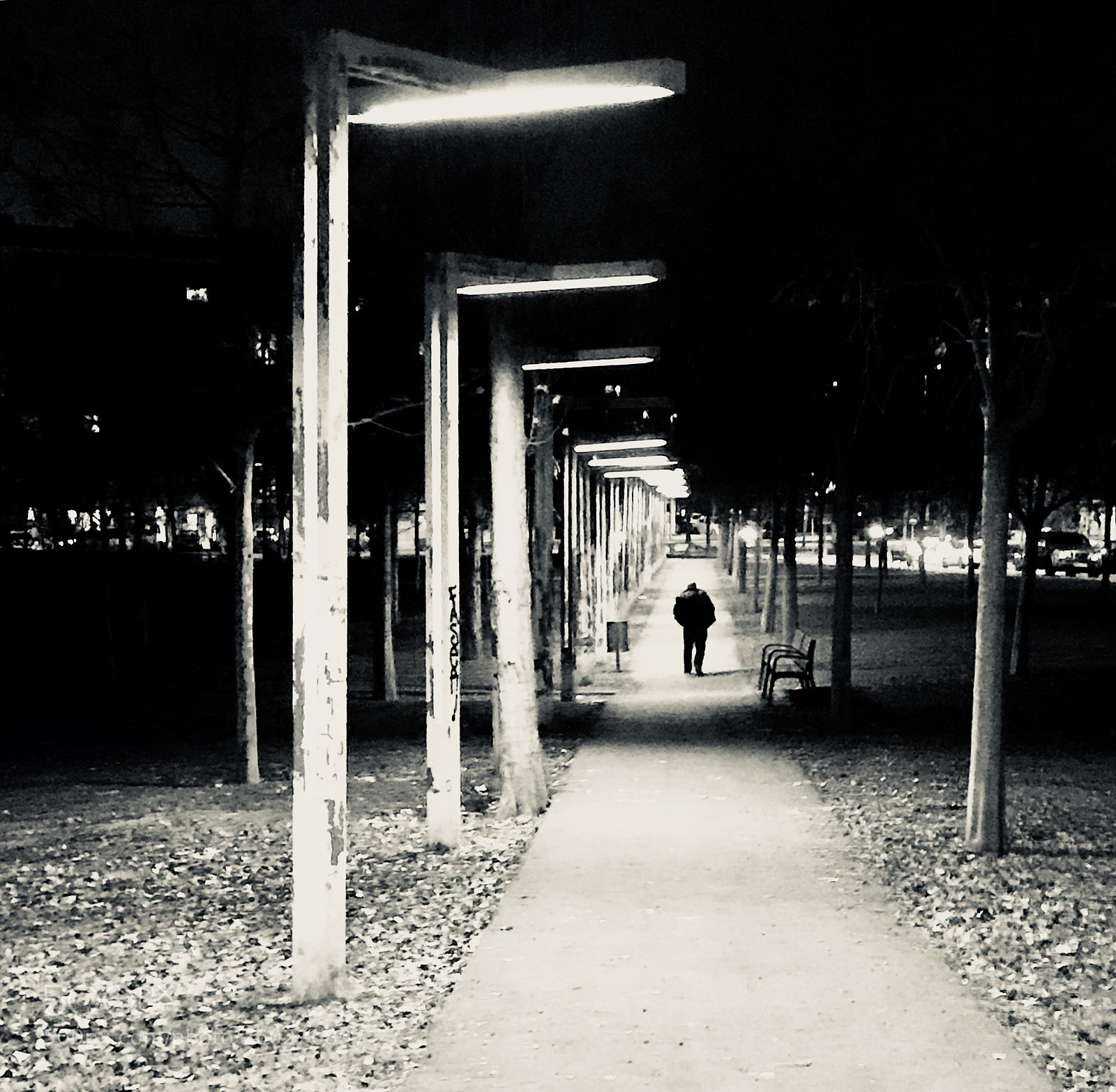 Apple iPhone 7 Plus sample photo. Untitled photography