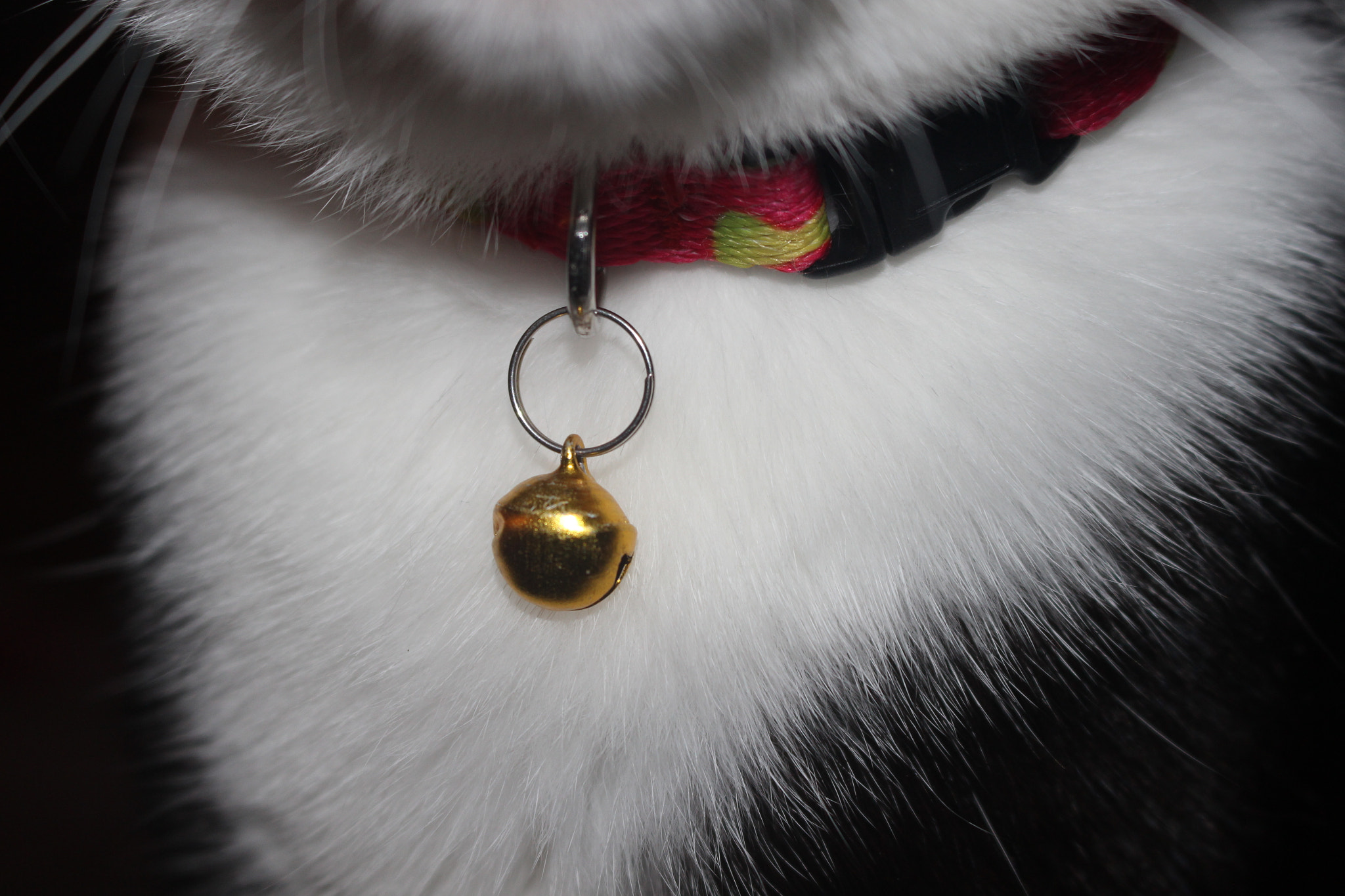 Canon EOS 100D (EOS Rebel SL1 / EOS Kiss X7) sample photo. Pendant photography