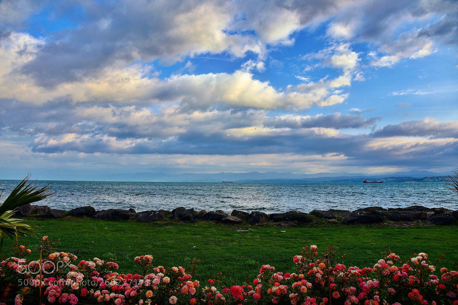 Nikon D750 sample photo. Good afternoon 2 photography