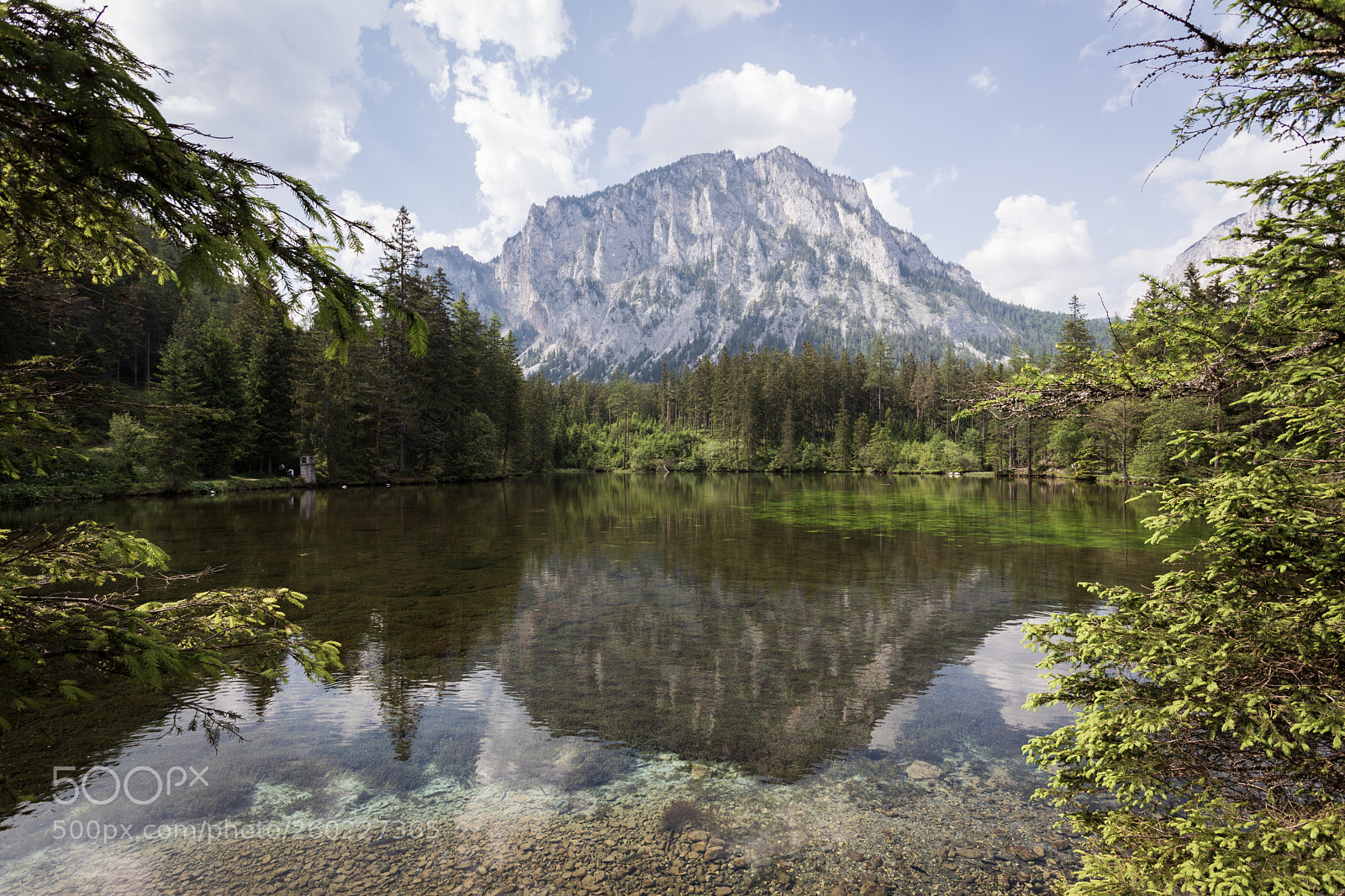 Canon EOS 5D Mark IV sample photo. Framed reflection photography