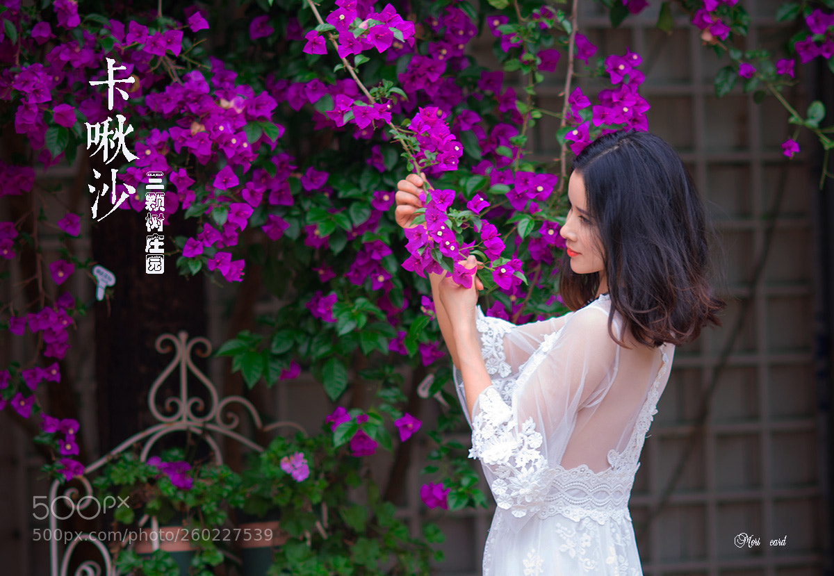 Nikon D750 sample photo. 1.jpg photography