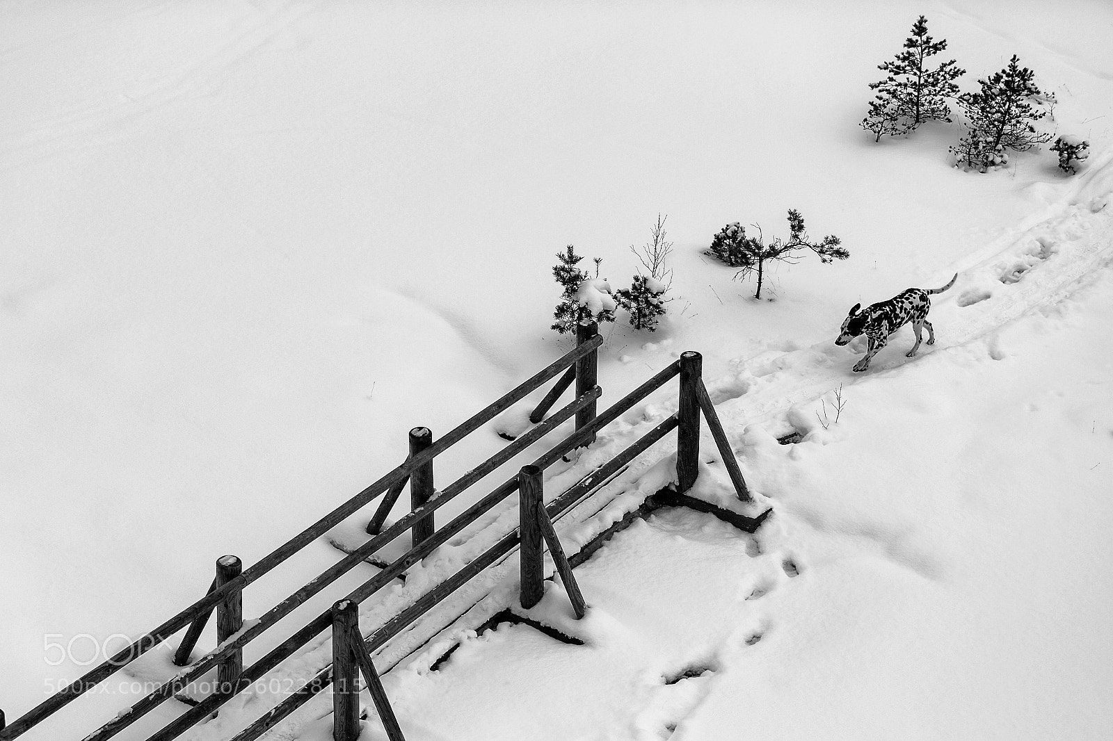 Canon EOS 6D Mark II sample photo. Winter cacthing photography