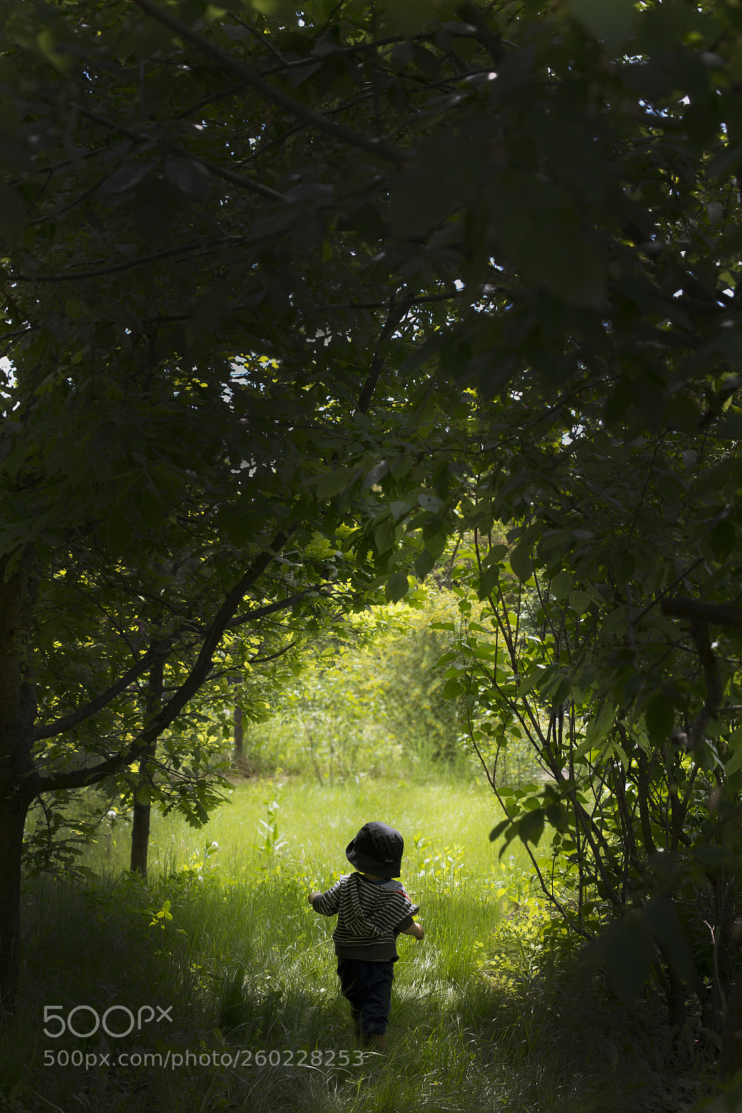 Canon EOS 60D sample photo. Fairy tale photography