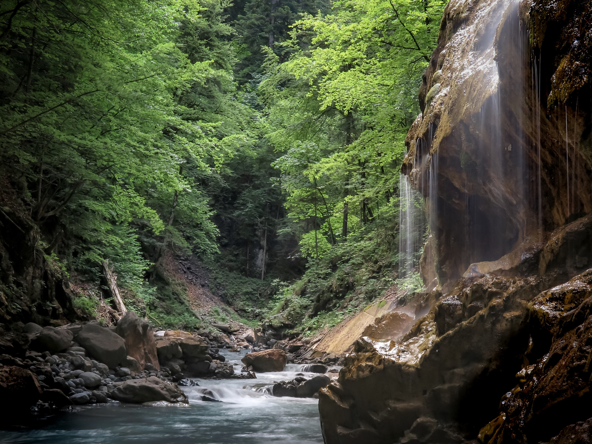 Canon PowerShot G1 X Mark II sample photo. Paradise photography