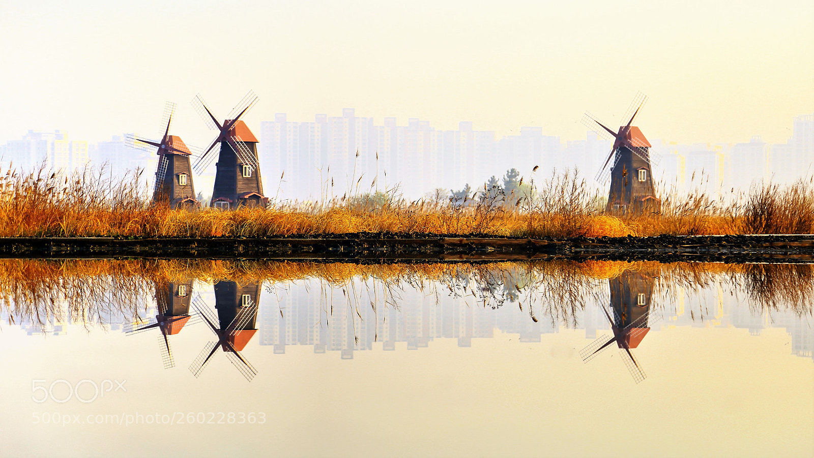 Canon EOS 6D sample photo. Reflection photography