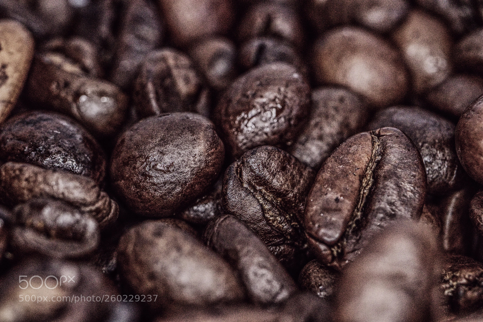 Canon EOS 80D sample photo. Kaffeebohnen photography