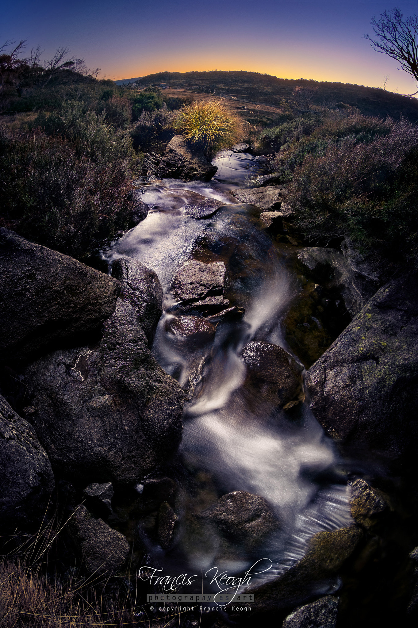 Fujifilm X-E1 sample photo. Ribbon of life photography