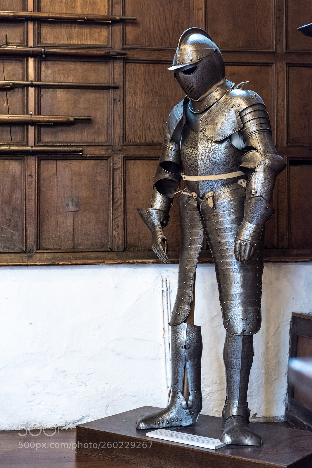 Nikon D810 sample photo. Suit of armour at photography