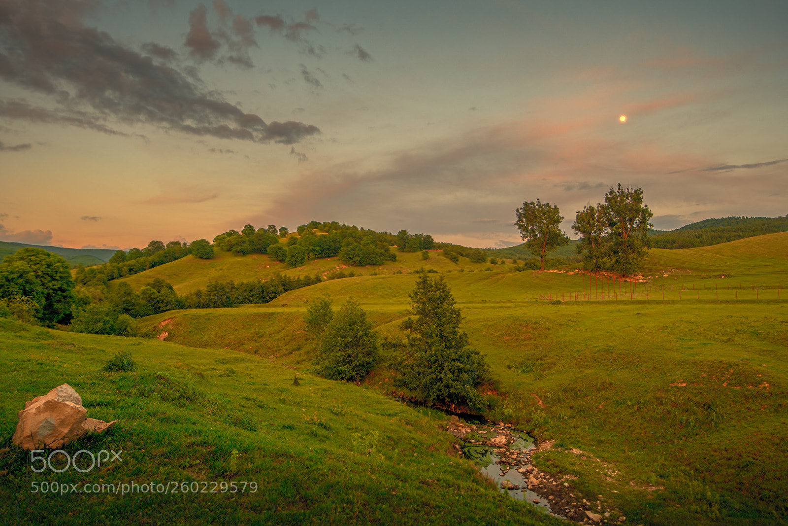 Nikon D850 sample photo. Under the moon photography