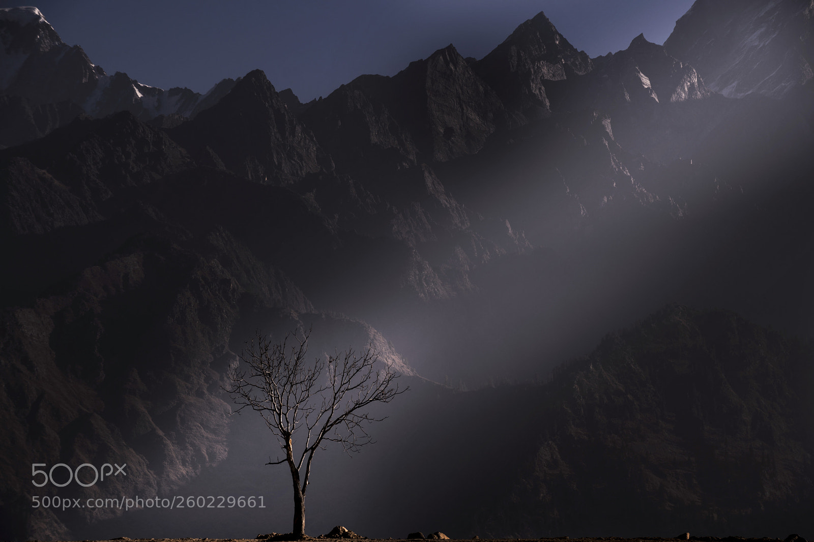 Sony a6300 sample photo. Rays of morning photography