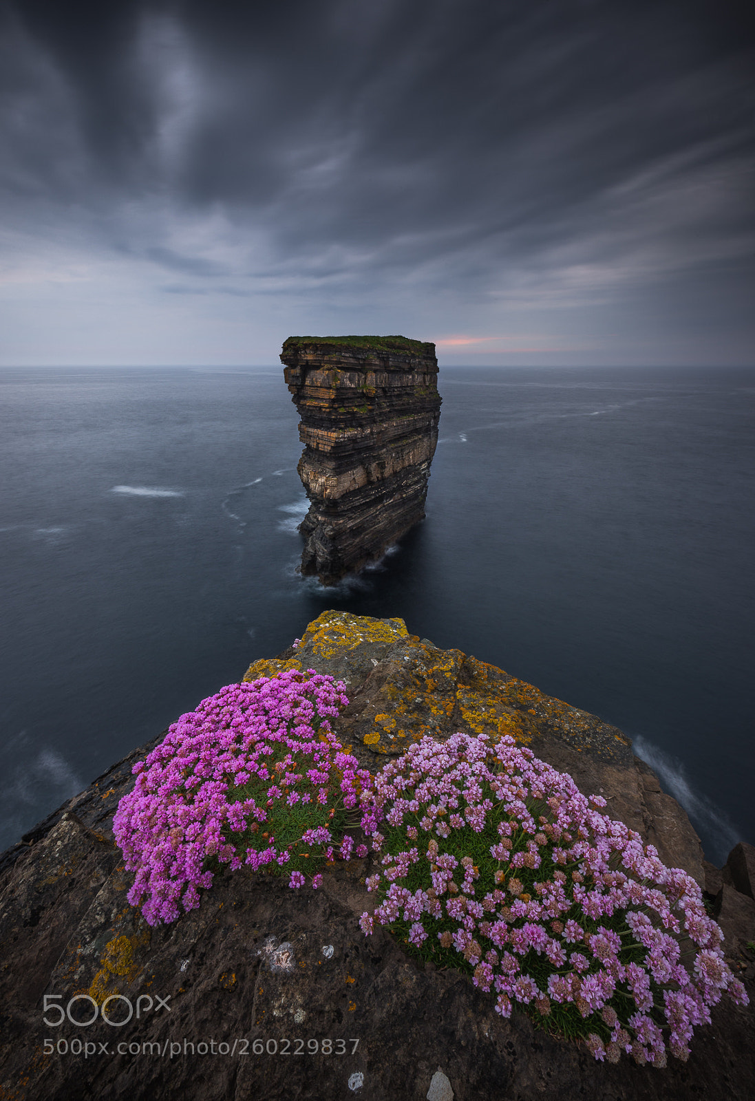 Nikon D810 sample photo. Downpatrick head photography