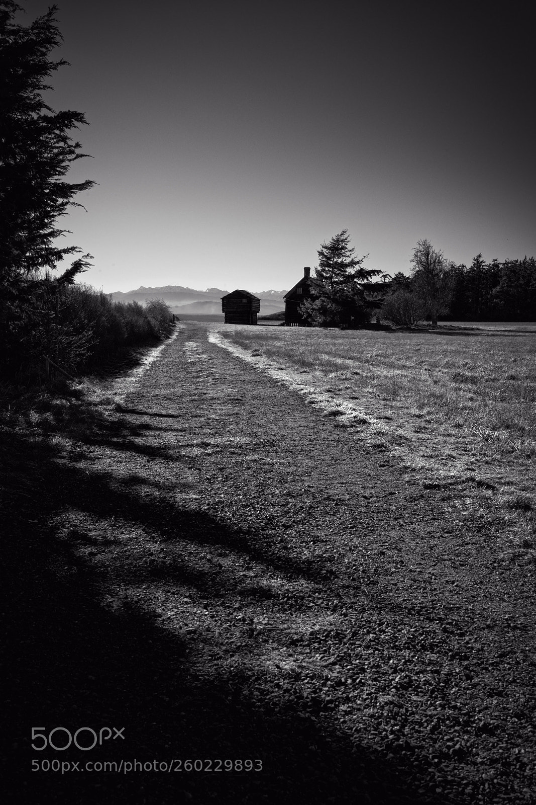 Leica M (Typ 240) sample photo. Ldxobw o photography