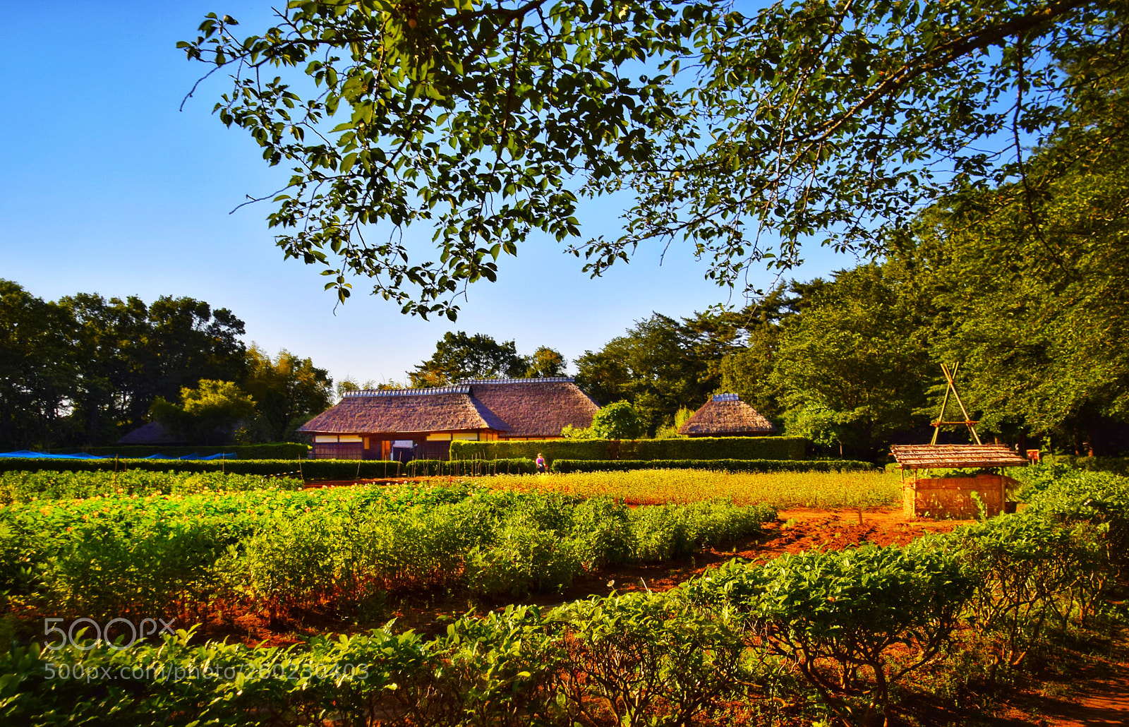 Nikon D3300 sample photo. Farmhouse photography
