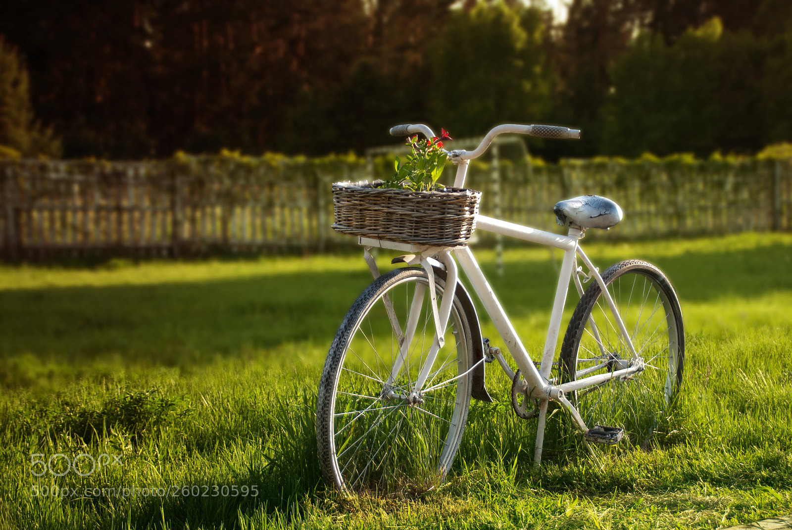 Nikon D200 sample photo. Bikefolowbed photography