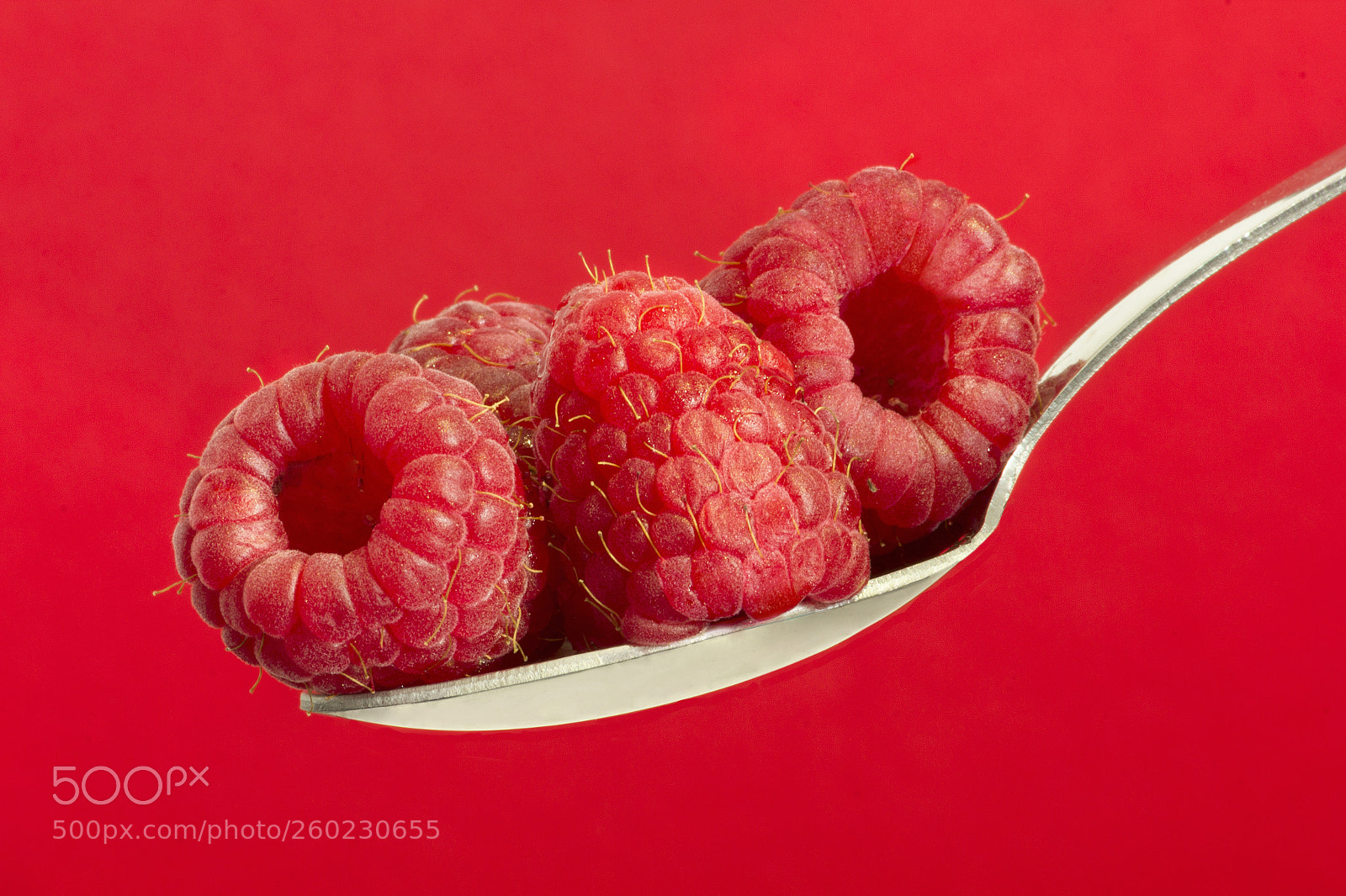 Canon EOS 550D (EOS Rebel T2i / EOS Kiss X4) sample photo. Raspberries photography
