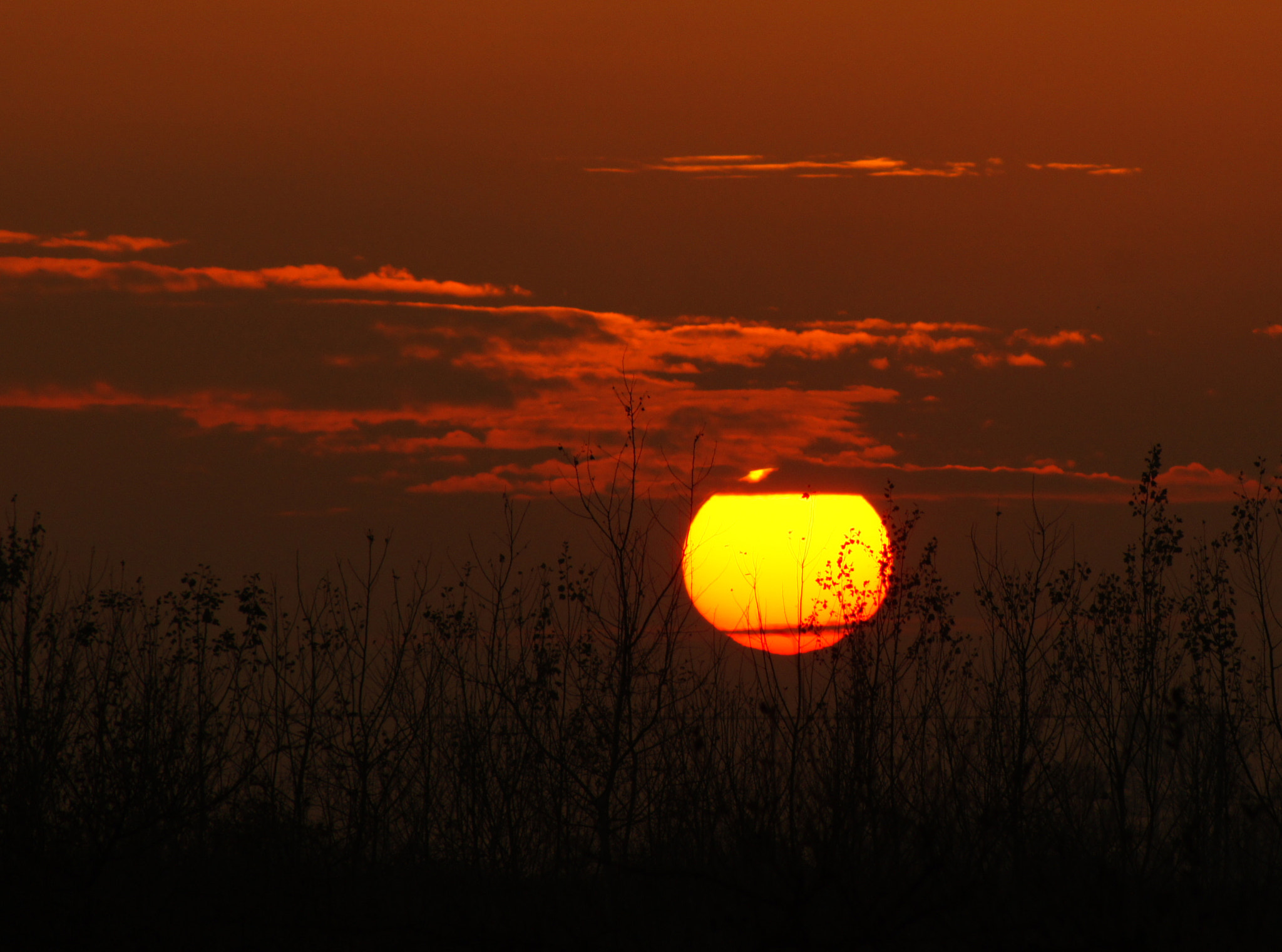 Sony Alpha DSLR-A550 sample photo