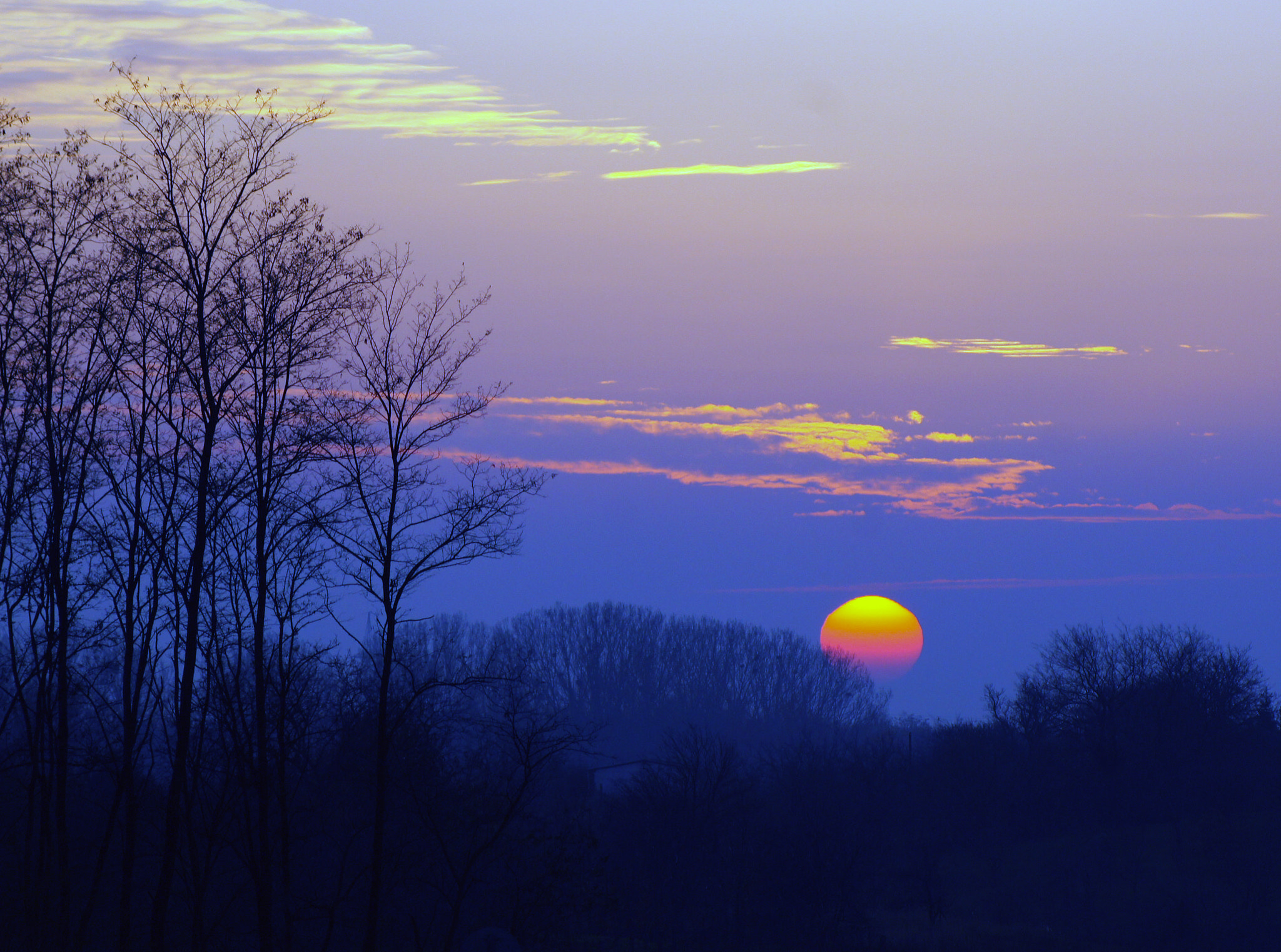 Sony Alpha DSLR-A550 sample photo