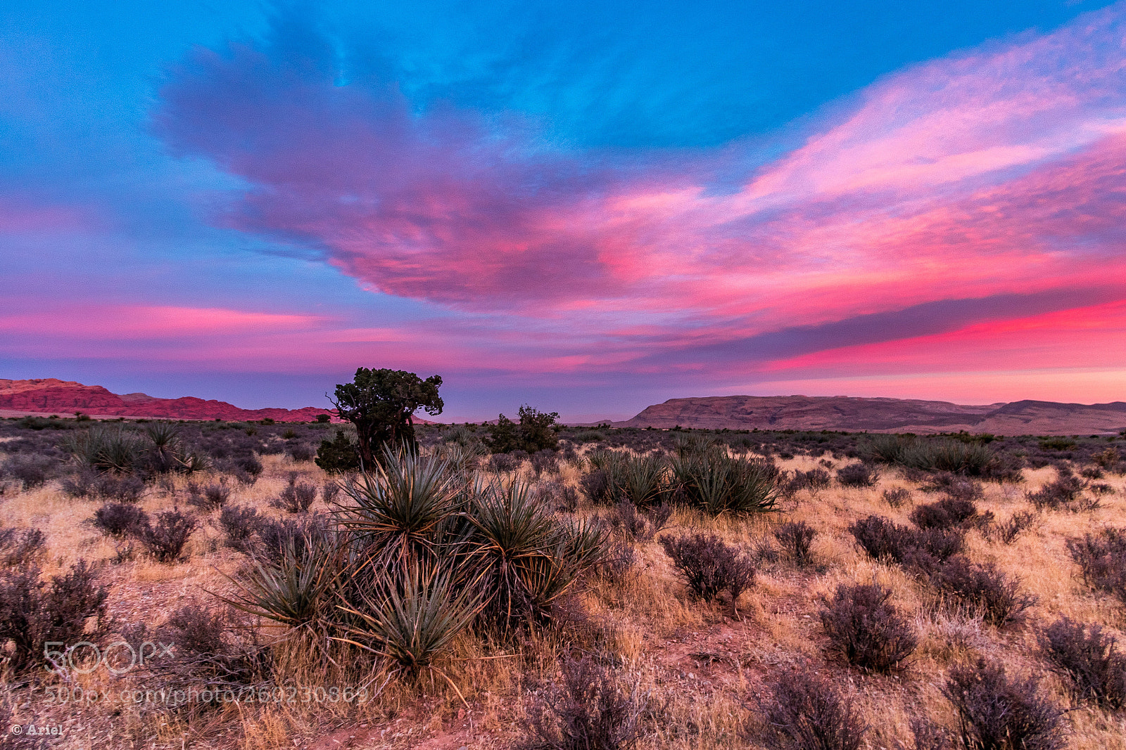 Canon EOS 80D sample photo. Lovely twilight at desert photography