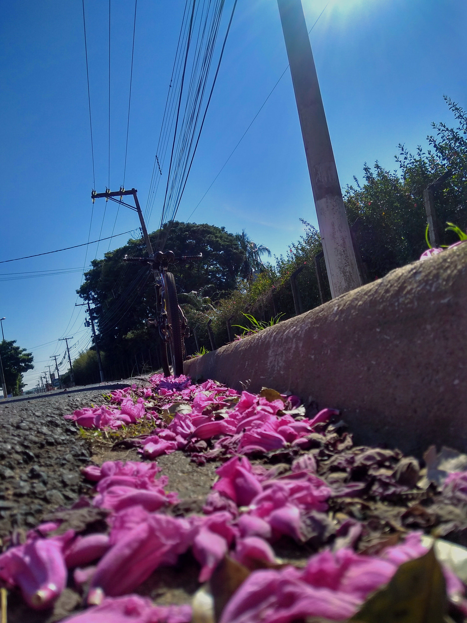 Motorola Moto G (5S) Plus sample photo