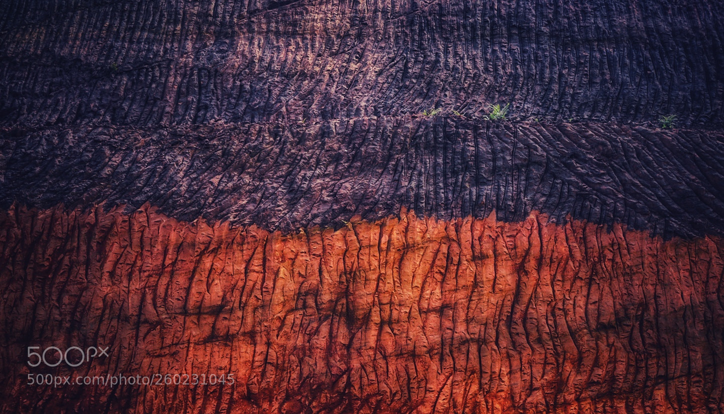 Sony a7 II sample photo. Cob wall photography
