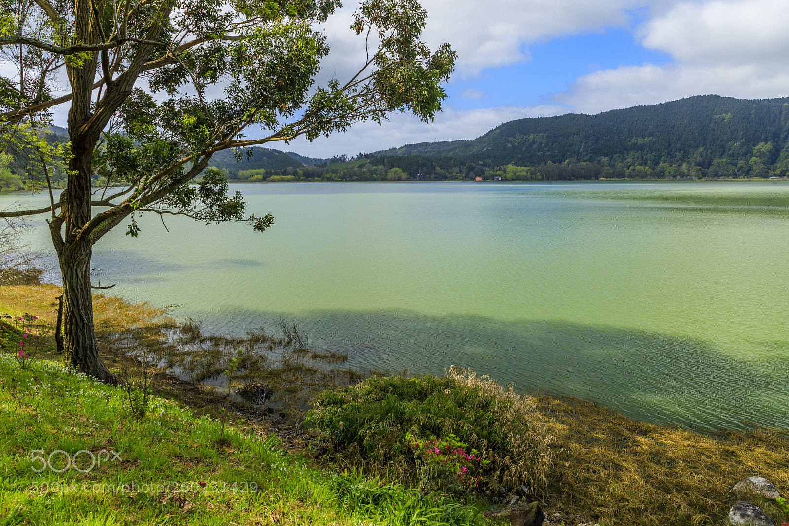 Canon EOS 5D Mark IV sample photo. A ores-s o miguel-lagoa photography