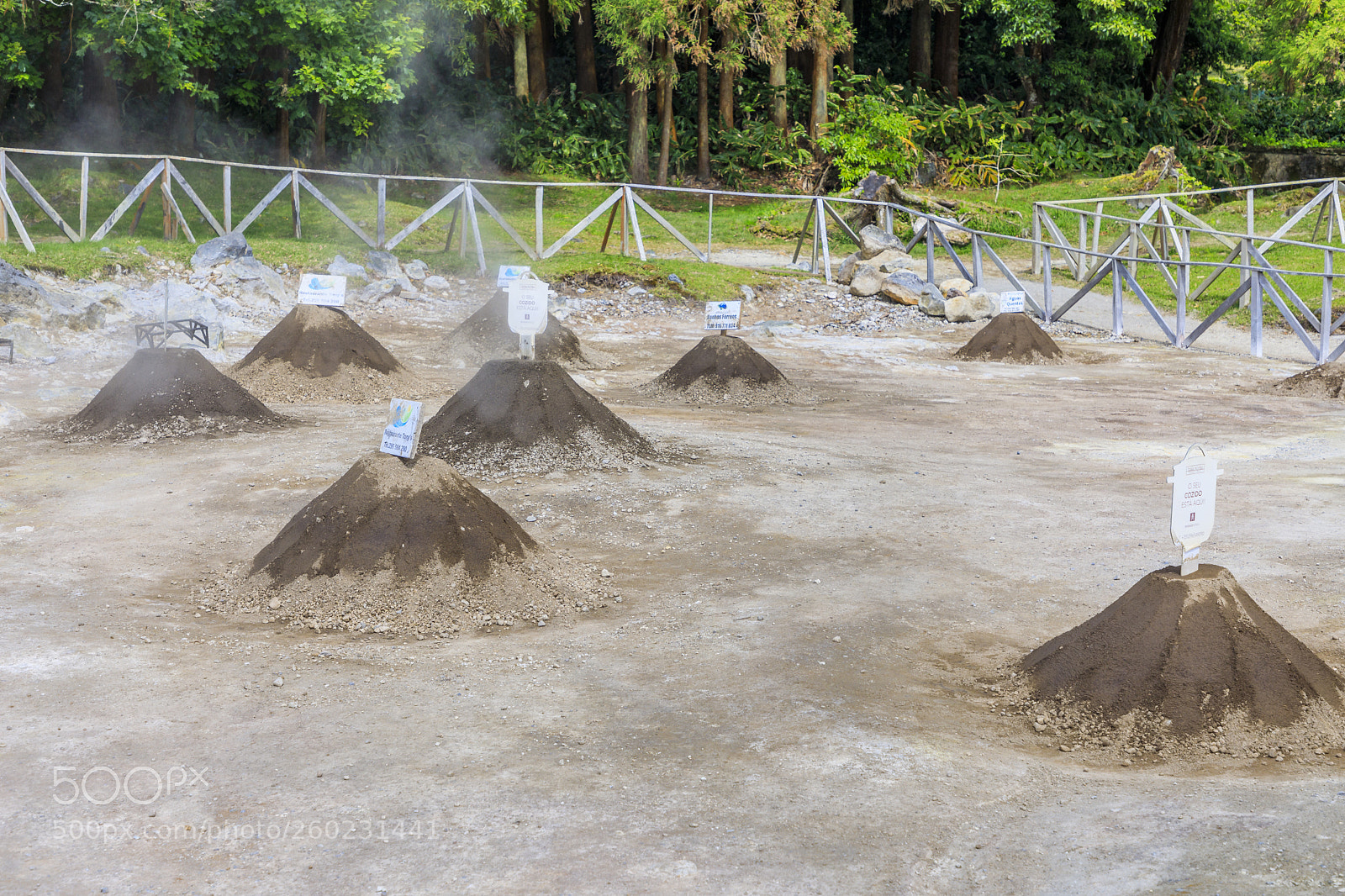 Canon EOS 5D Mark IV sample photo. A ores-s o miguel-furnas-fumarolas photography