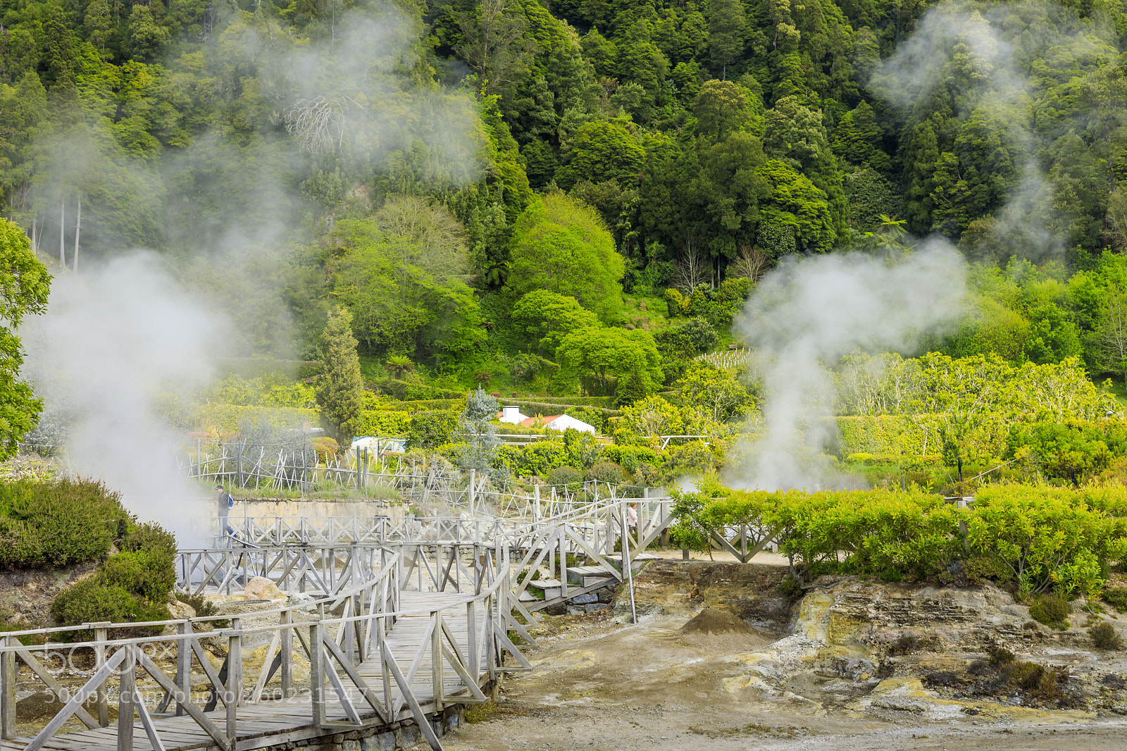 Canon EOS 5D Mark IV sample photo. A ores-s o miguel-furnas-fumarolas photography