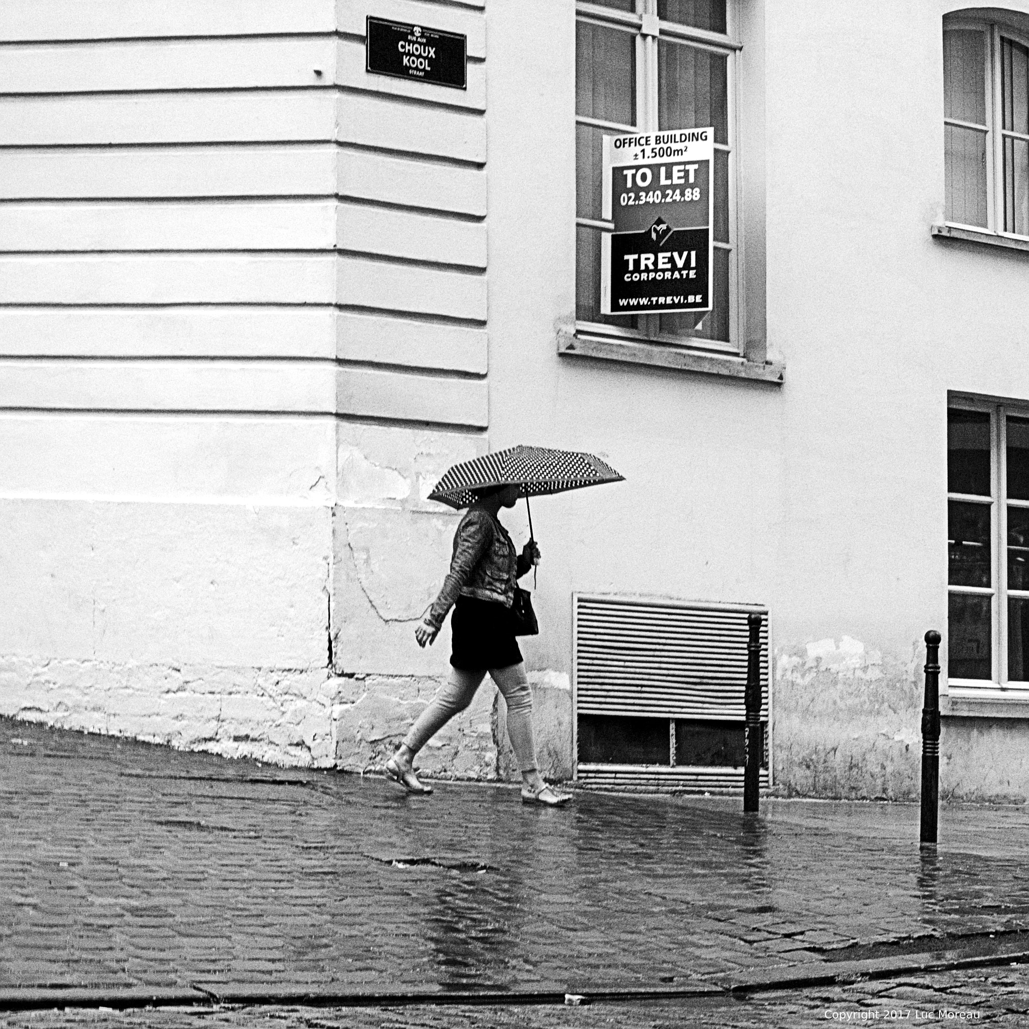 Panasonic Lumix DMC-G5 sample photo. It rained again photography