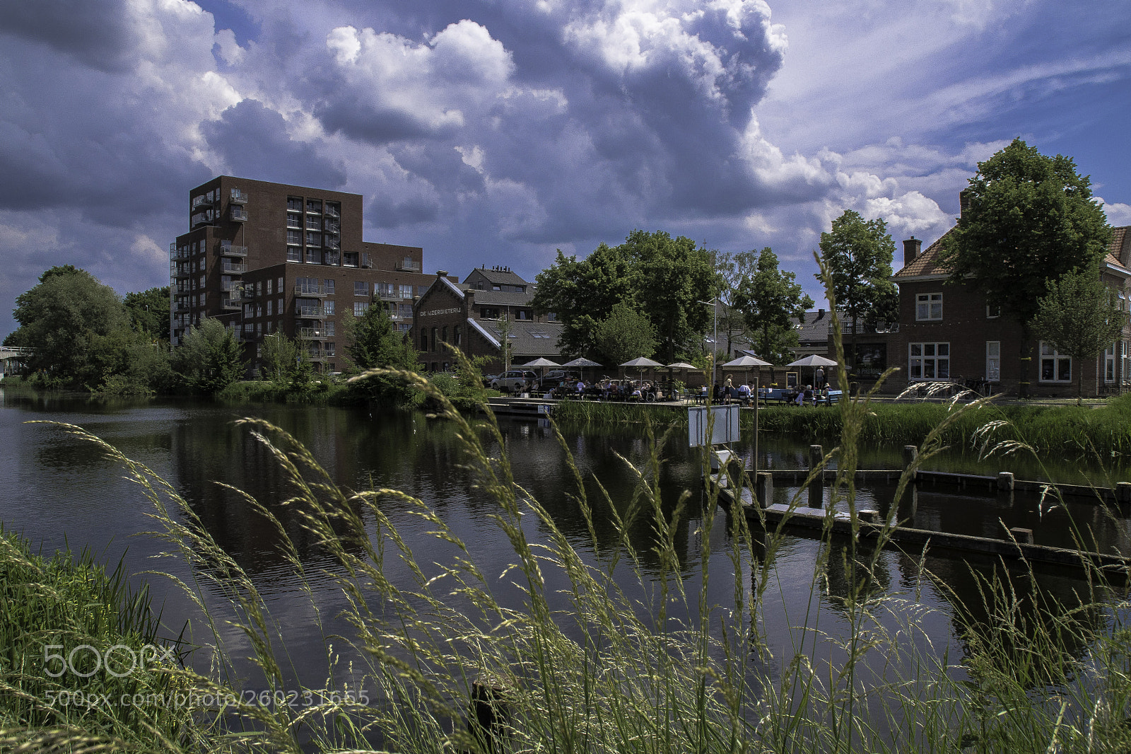 Nikon D500 sample photo. Piushaven photography