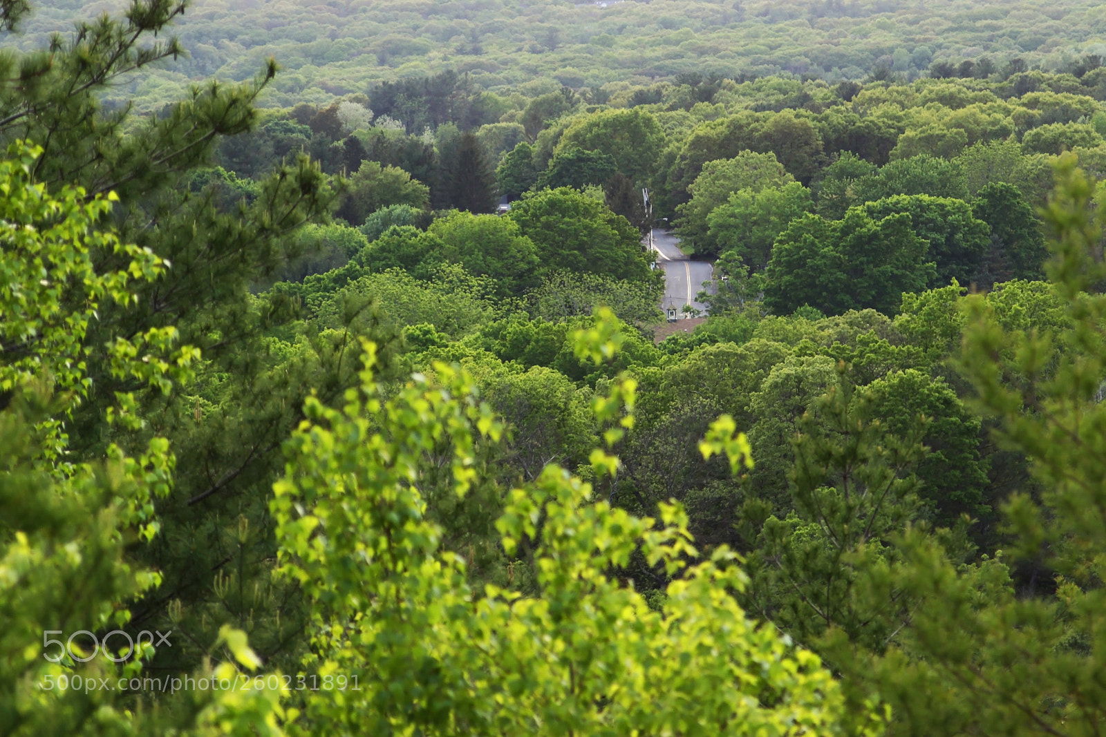 Canon EOS 50D sample photo. Country road photography