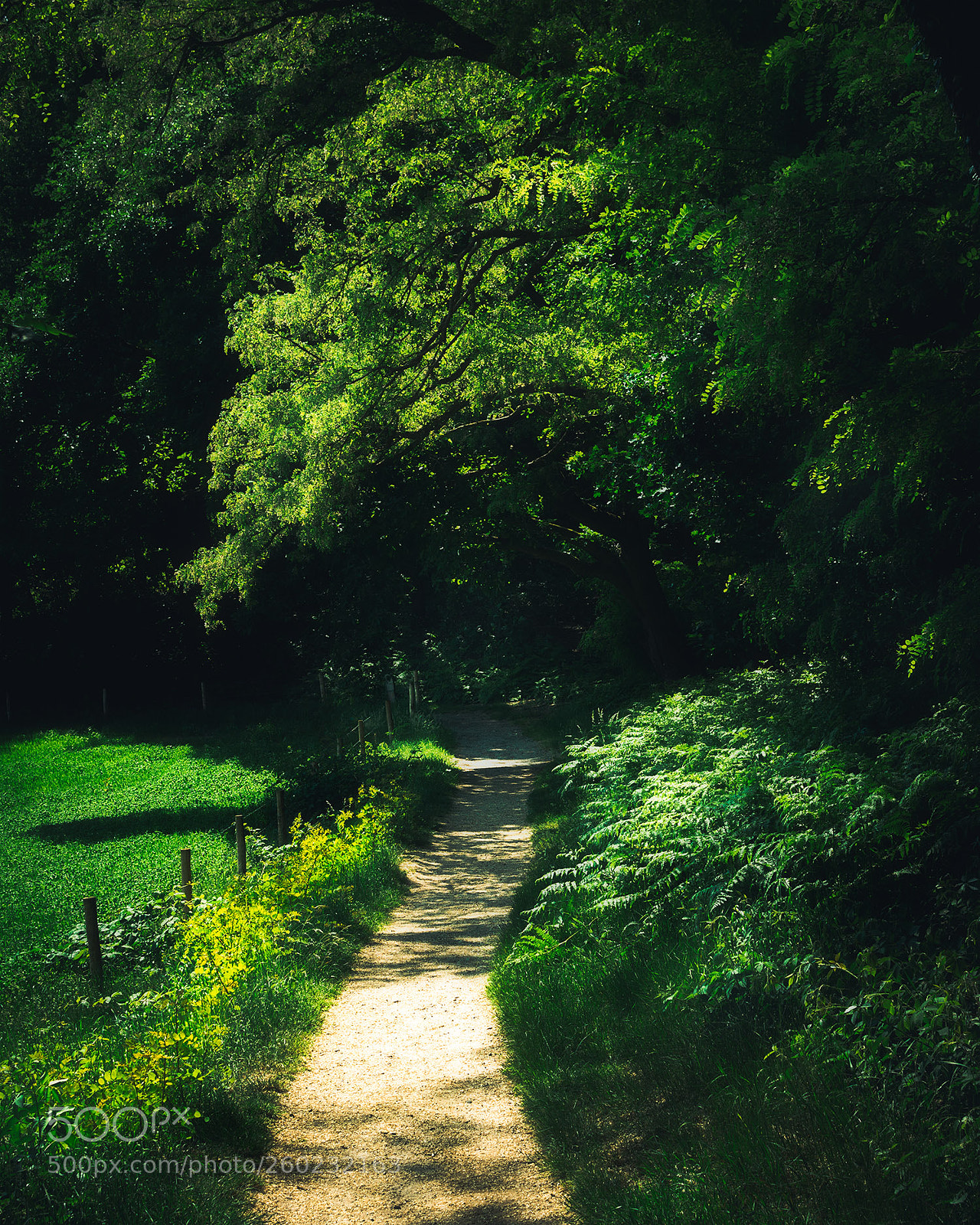 Nikon D7100 sample photo. Berg en dal photography