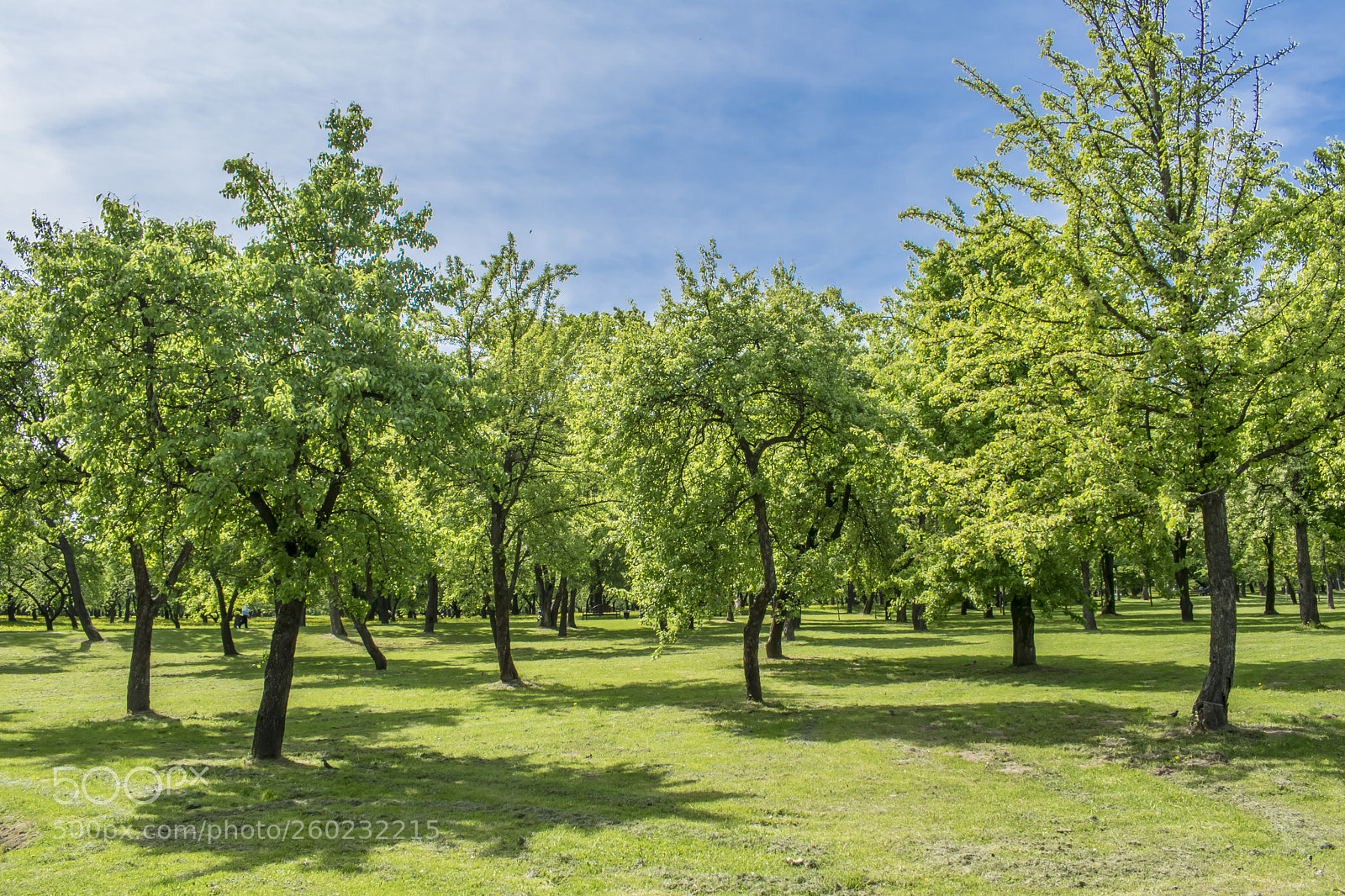 Nikon D5300 sample photo. Scenic view of the photography
