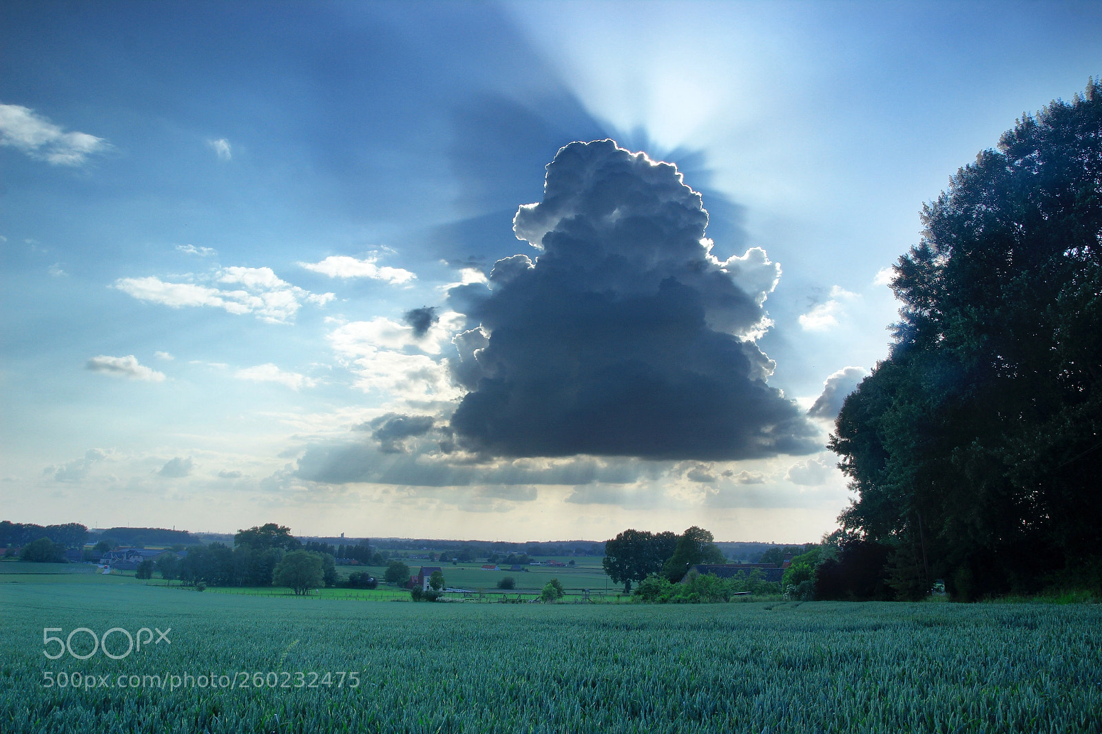 Canon EOS 600D (Rebel EOS T3i / EOS Kiss X5) sample photo. Clouds photography