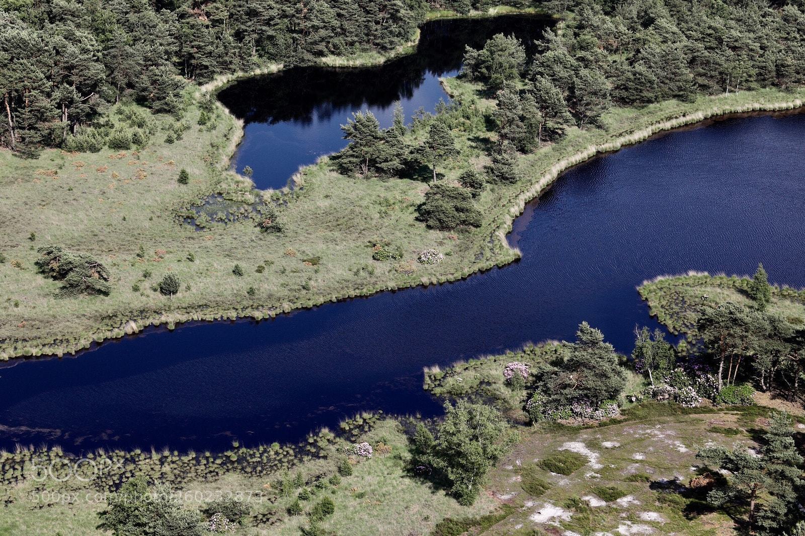 Canon EOS 5D Mark IV sample photo. Kalmthoutse heide from above. photography