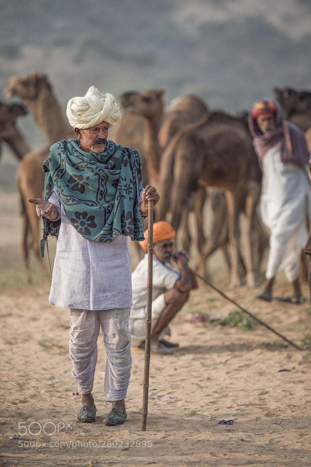 Nikon D750 sample photo. Hello from rajasthan photography