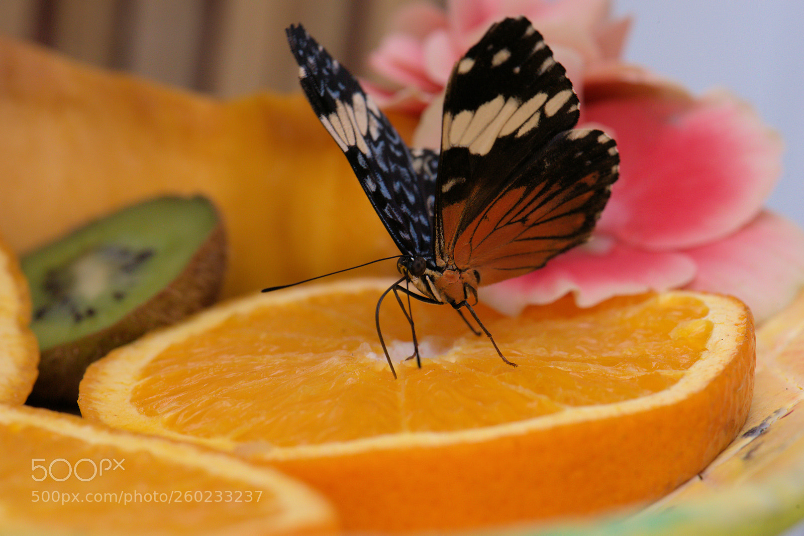 Nikon D800 sample photo. Untitled photography