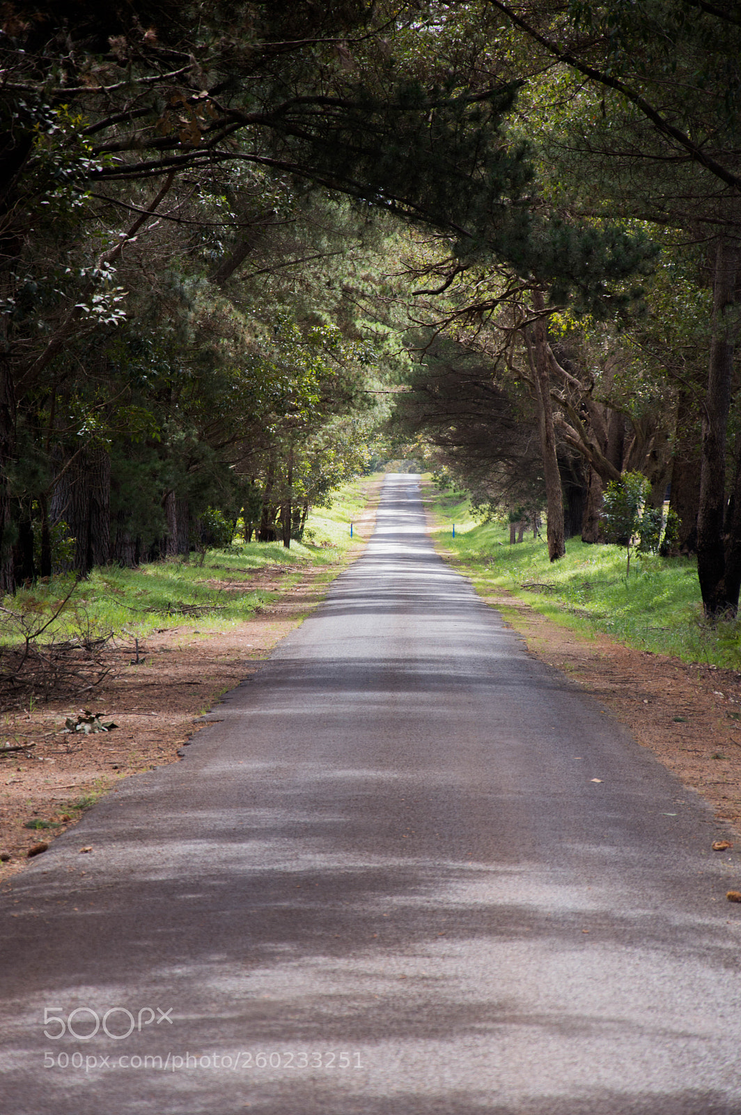 Nikon D3200 sample photo. Country road margaret river photography