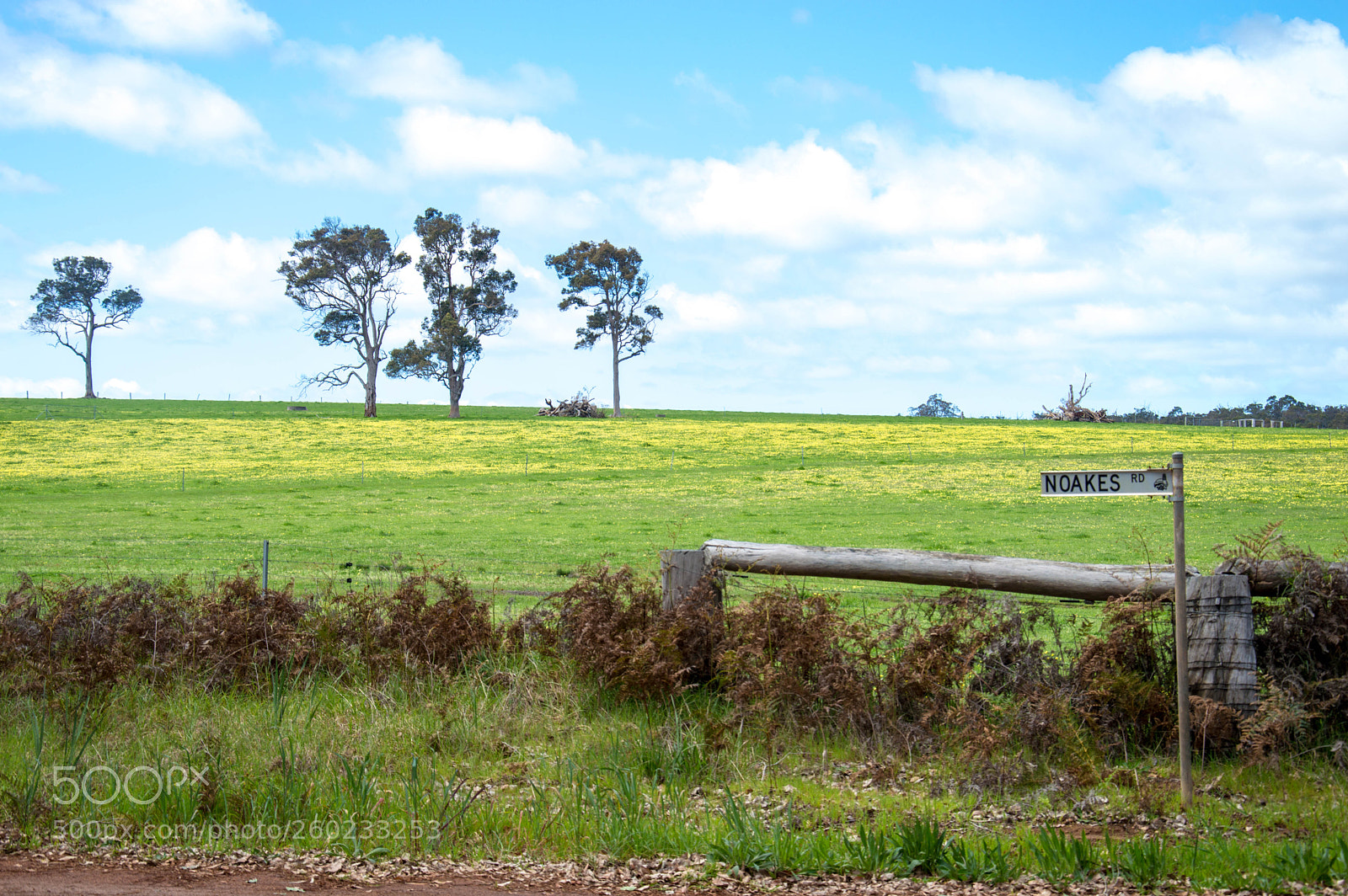Nikon D3200 sample photo. Noakes road photography