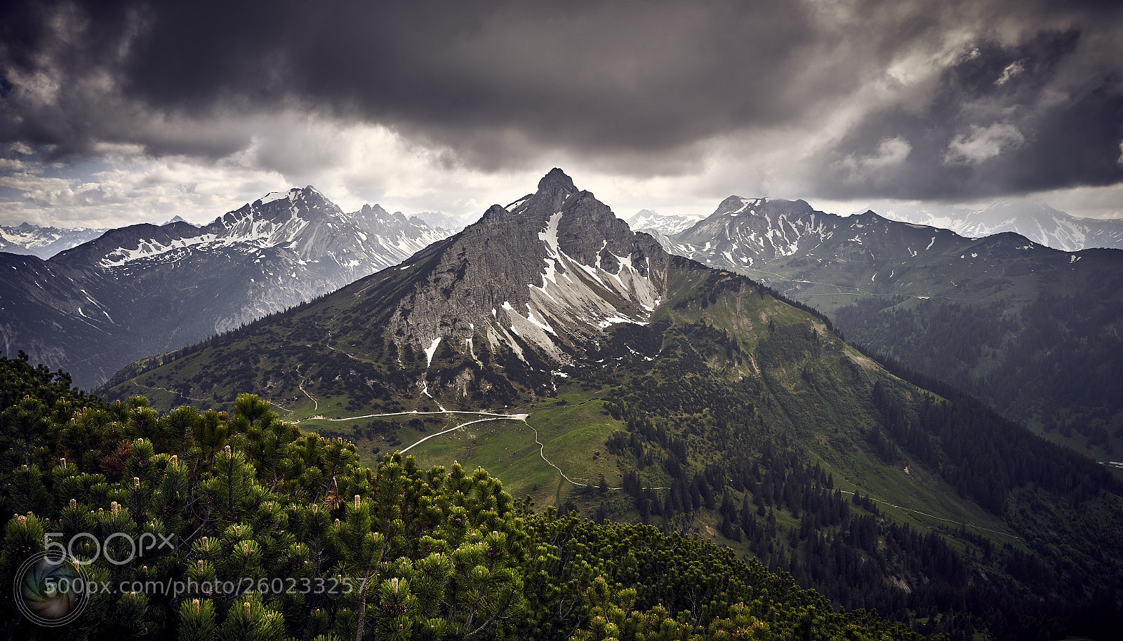 Sony a7R II sample photo. Stormy green photography