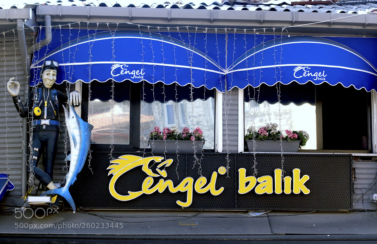 Pentax K-3 II sample photo. Fish restaurant photography